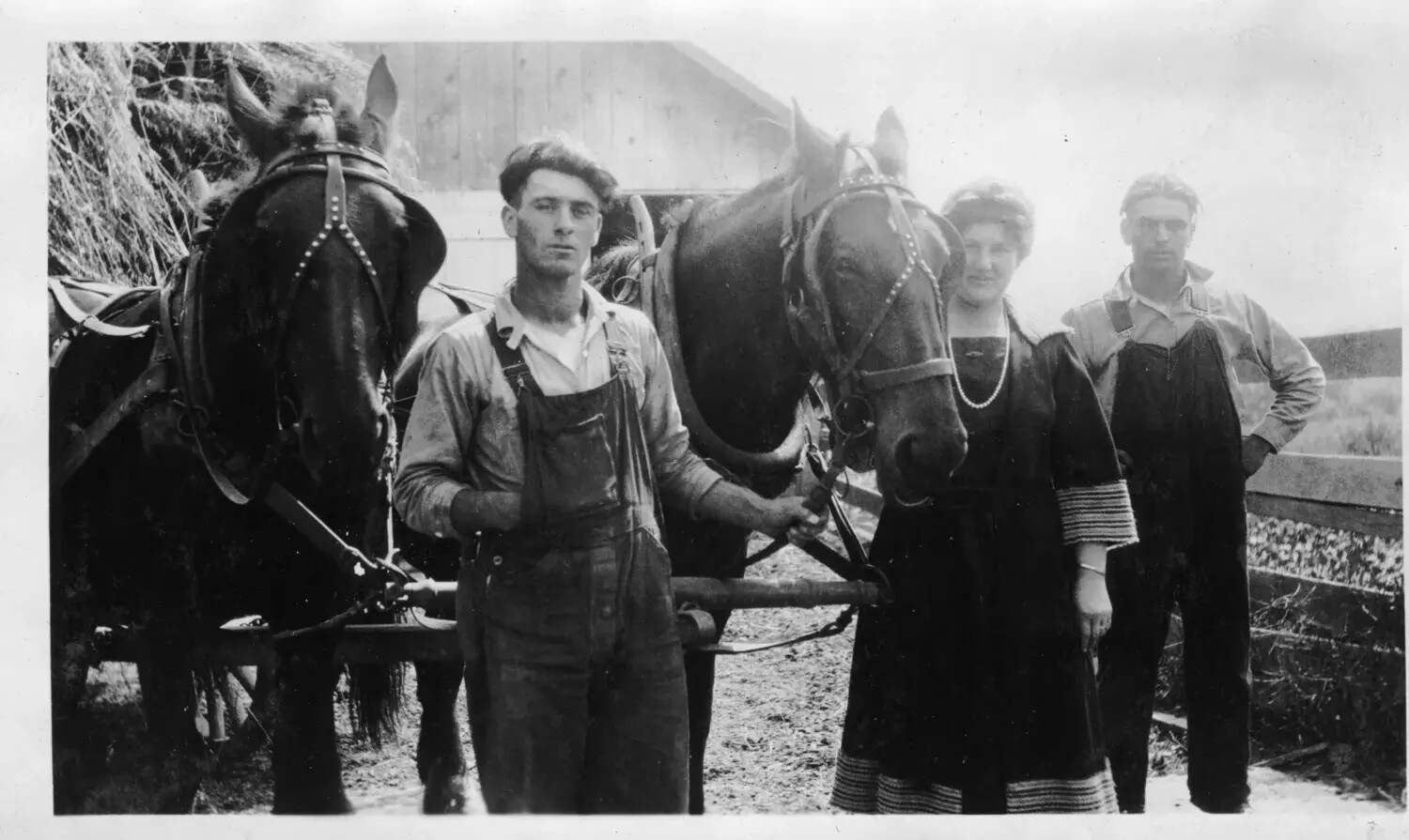 Farm Family with Draft Horses and Field Equipment, Early 20th Century
