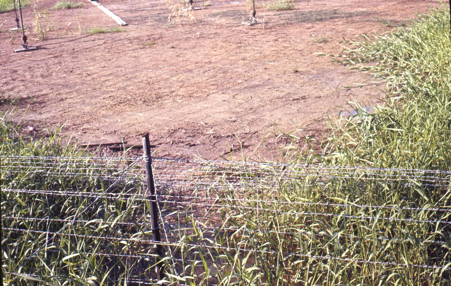 Barbed Wire Perimeter Fence and Cleared Field, Vietnam War Era 35mm Slide