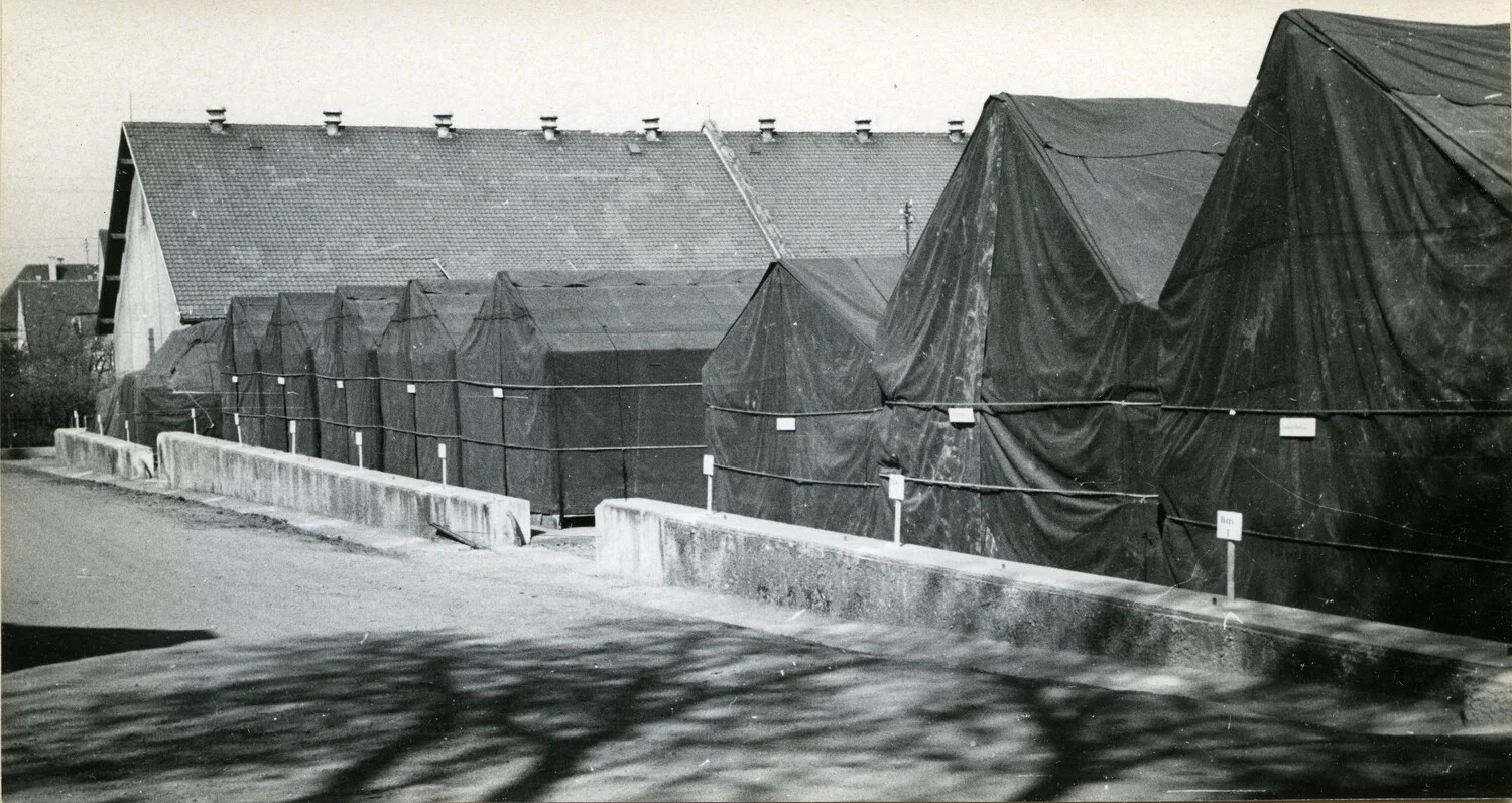 Row of Tarpaulin-Covered Stock Piles Along Depot Loading Platform