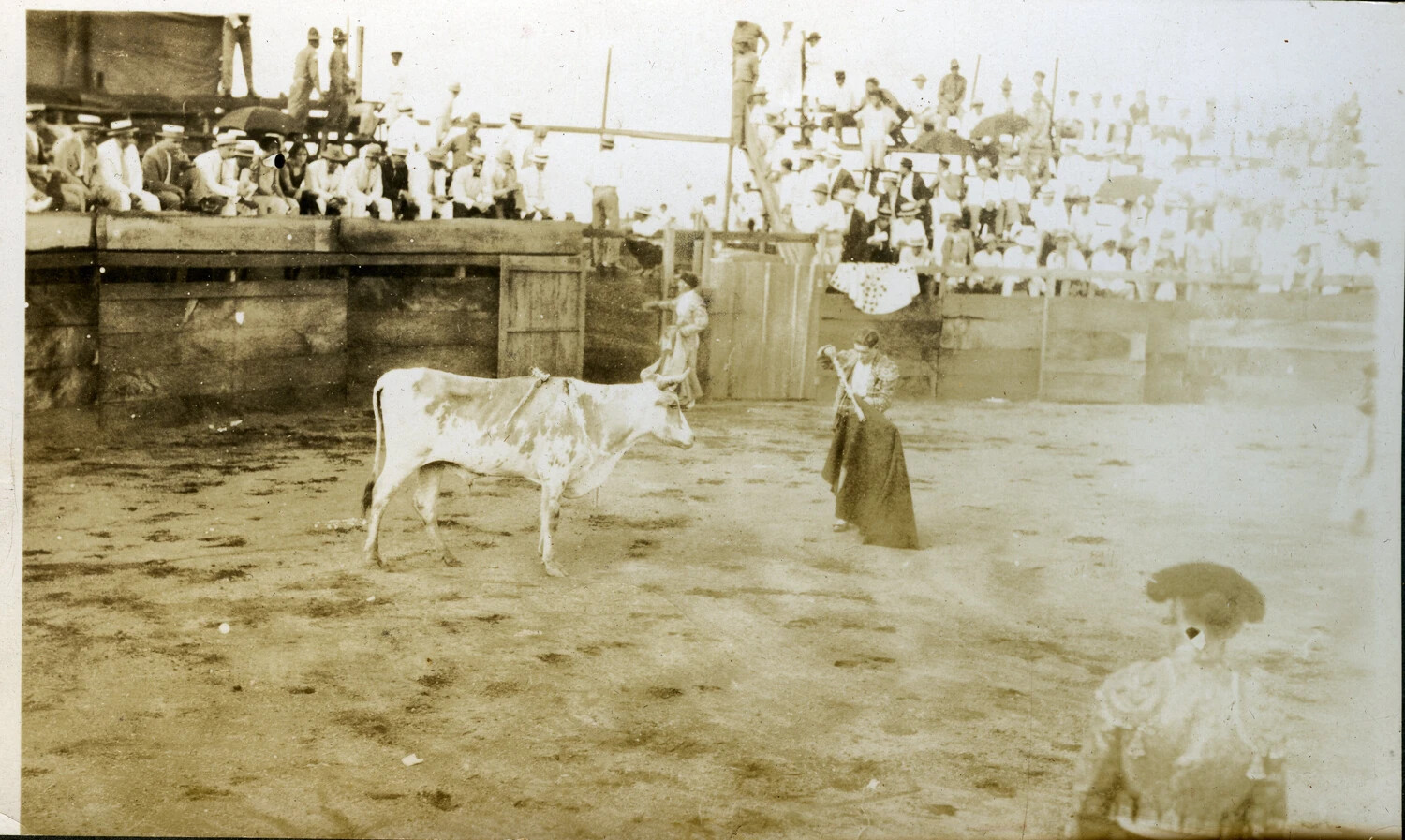 Bullfighting Exhibition with Spectators, General Jiron Collection, Early 20th Century Central America