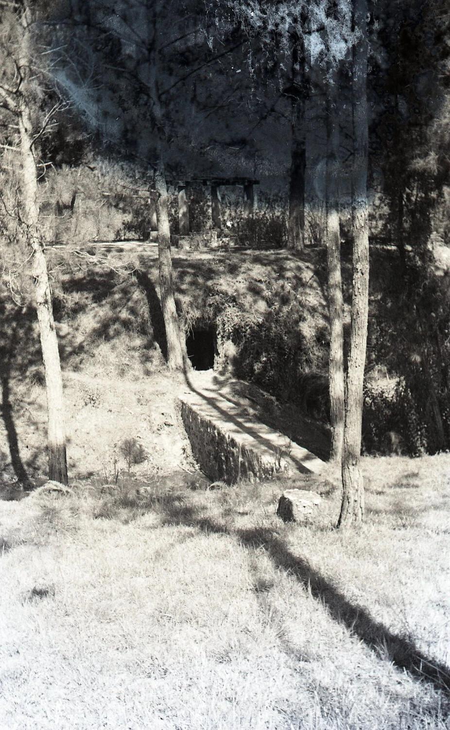 Bunker or Tunnel Entrance Amid Pine Forest, Camp John Hay, Baguio, Luzon, Philippines, WWII