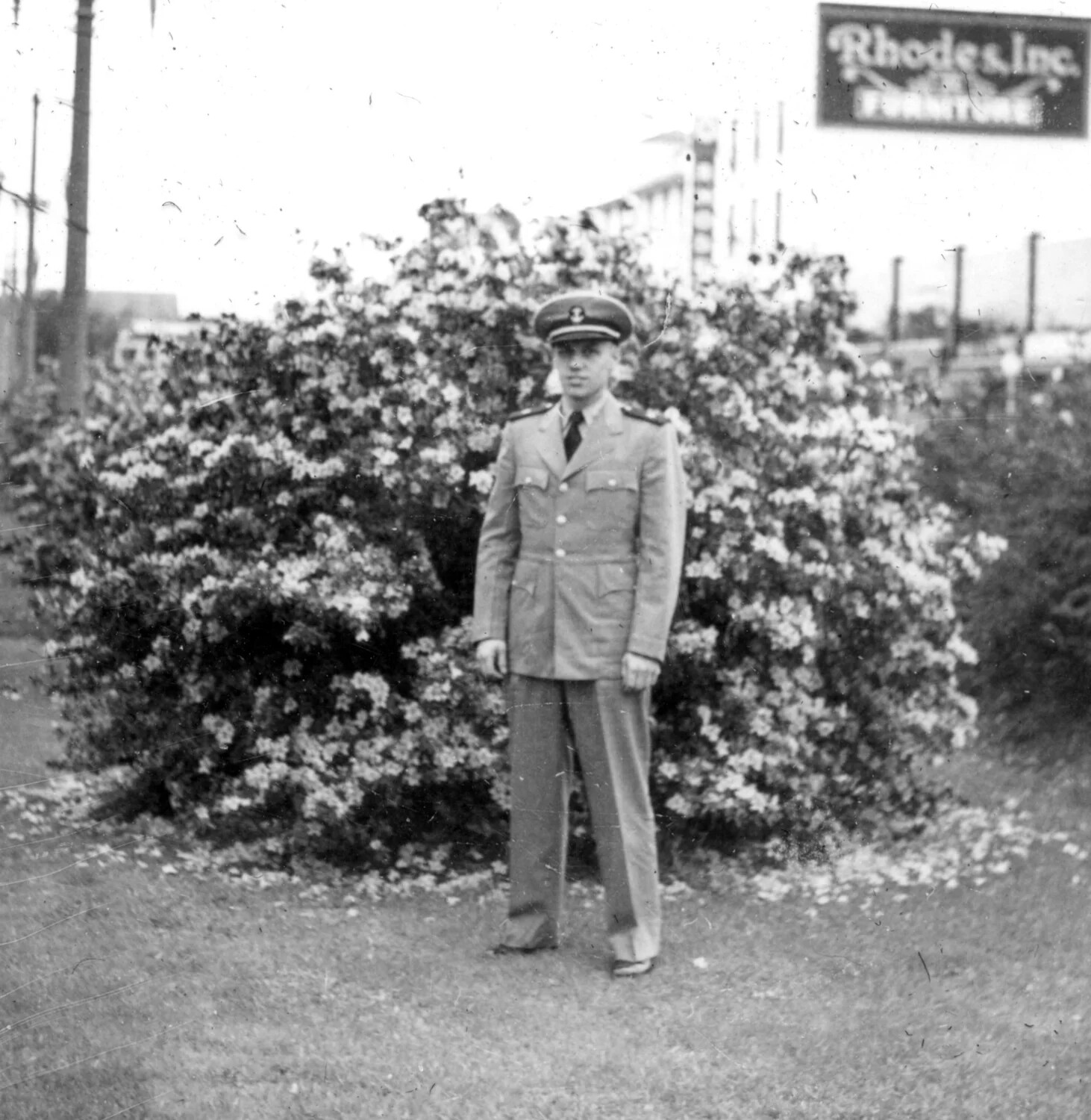 Portrait of a U.S. Navy Officer, Korean War Era