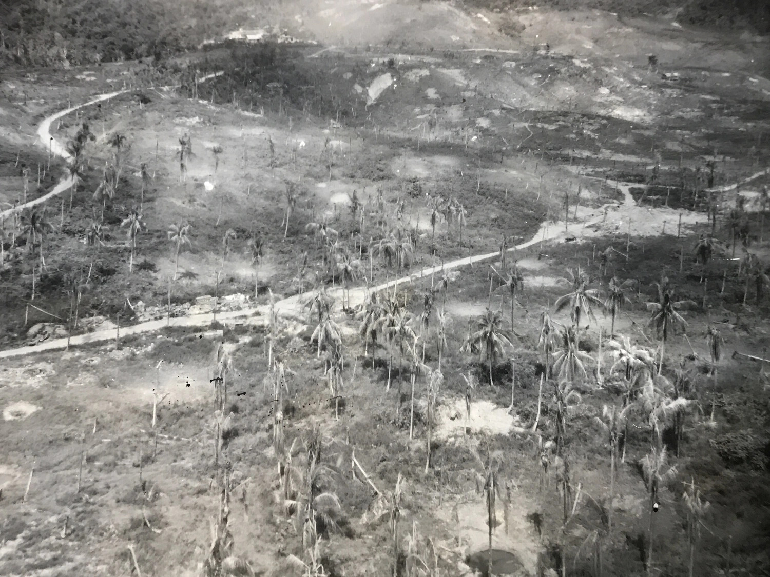 Low-Altitude Aerial View of Bomb-Damaged Plantation Terrain