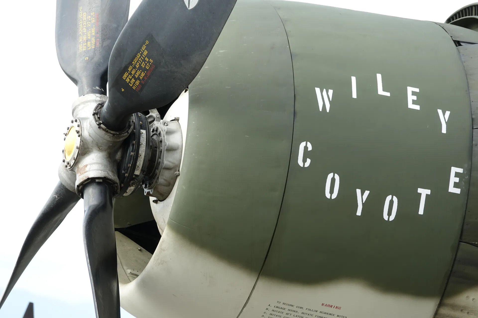 Nose Art Detail: A-1 Skyraider 'Wiley Coyote' Propeller and Cowling