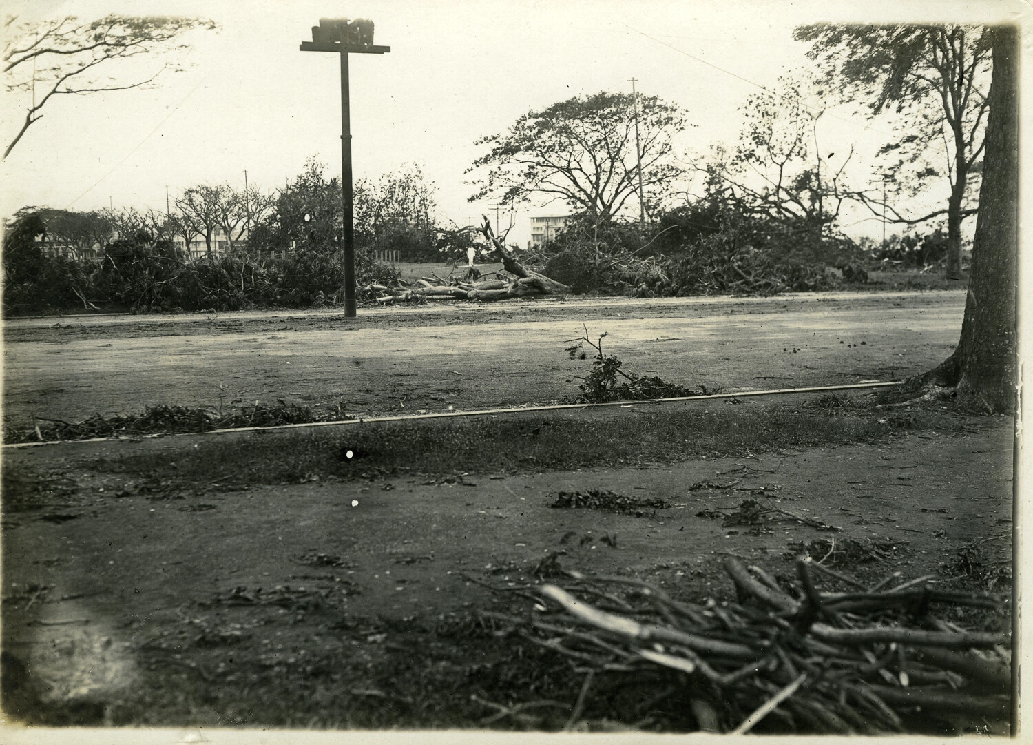 Typhoon Damage with Fallen Trees and Lamppost, Philippines, Early 1900s