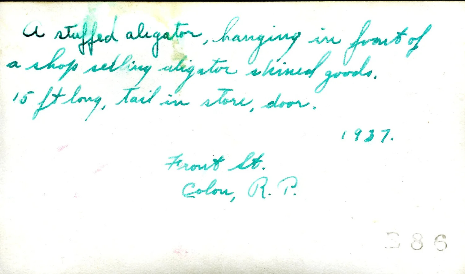 Reverse of Photograph: 'Stuffed Alligator, Front Street, Colon, R.P.' -- Handwritten Caption, 1937