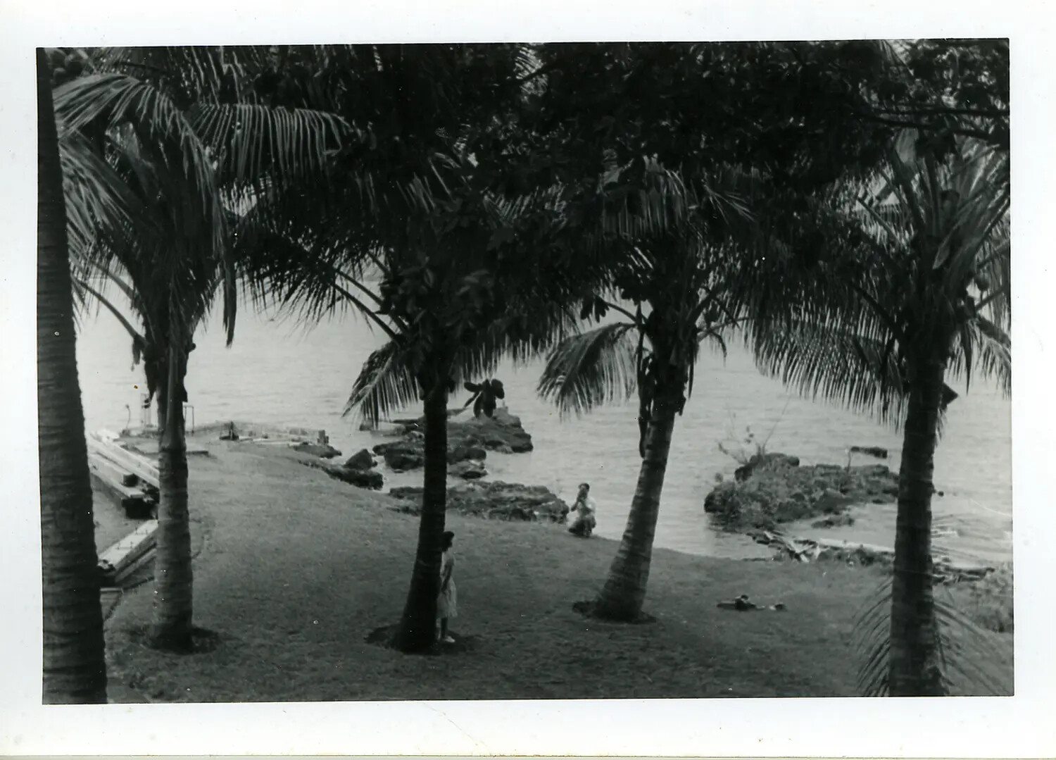 Tropical Shoreline with Palm Trees and Figures, Hawaii (Duplicate/Near-Duplicate Frame)