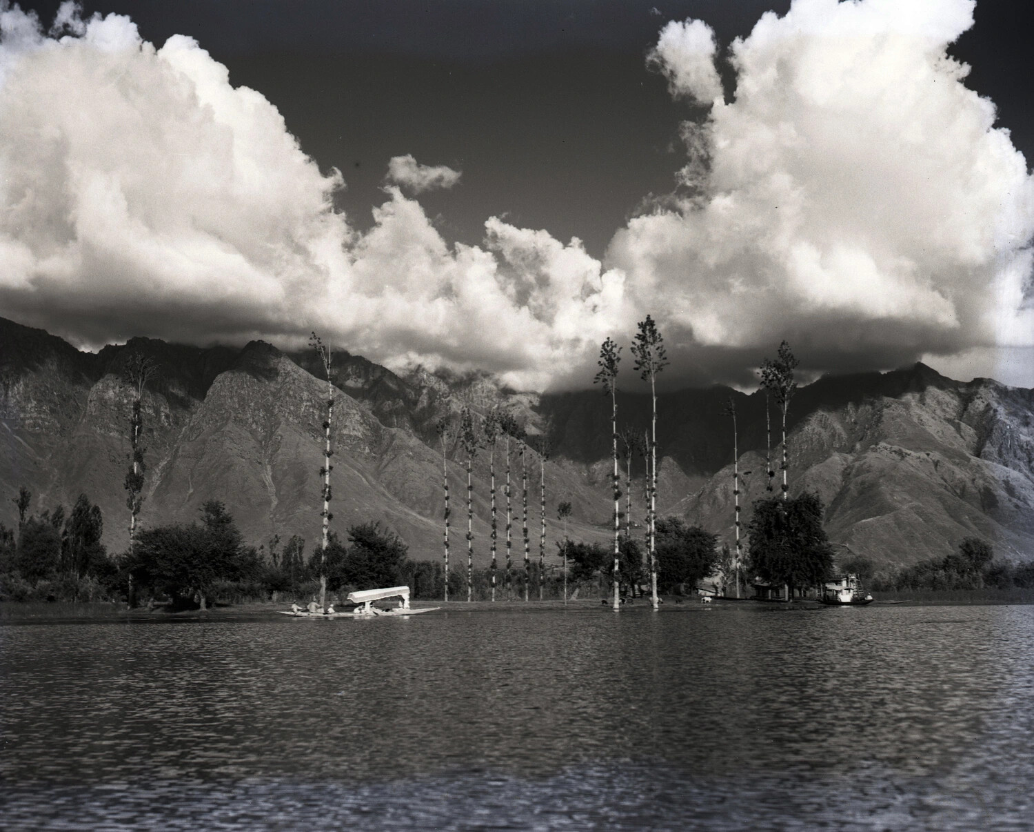 Poplar Trees in Floodwater Below the Himalayas, Likely Kashmir, India, WWII-Era CBI Theater Collection