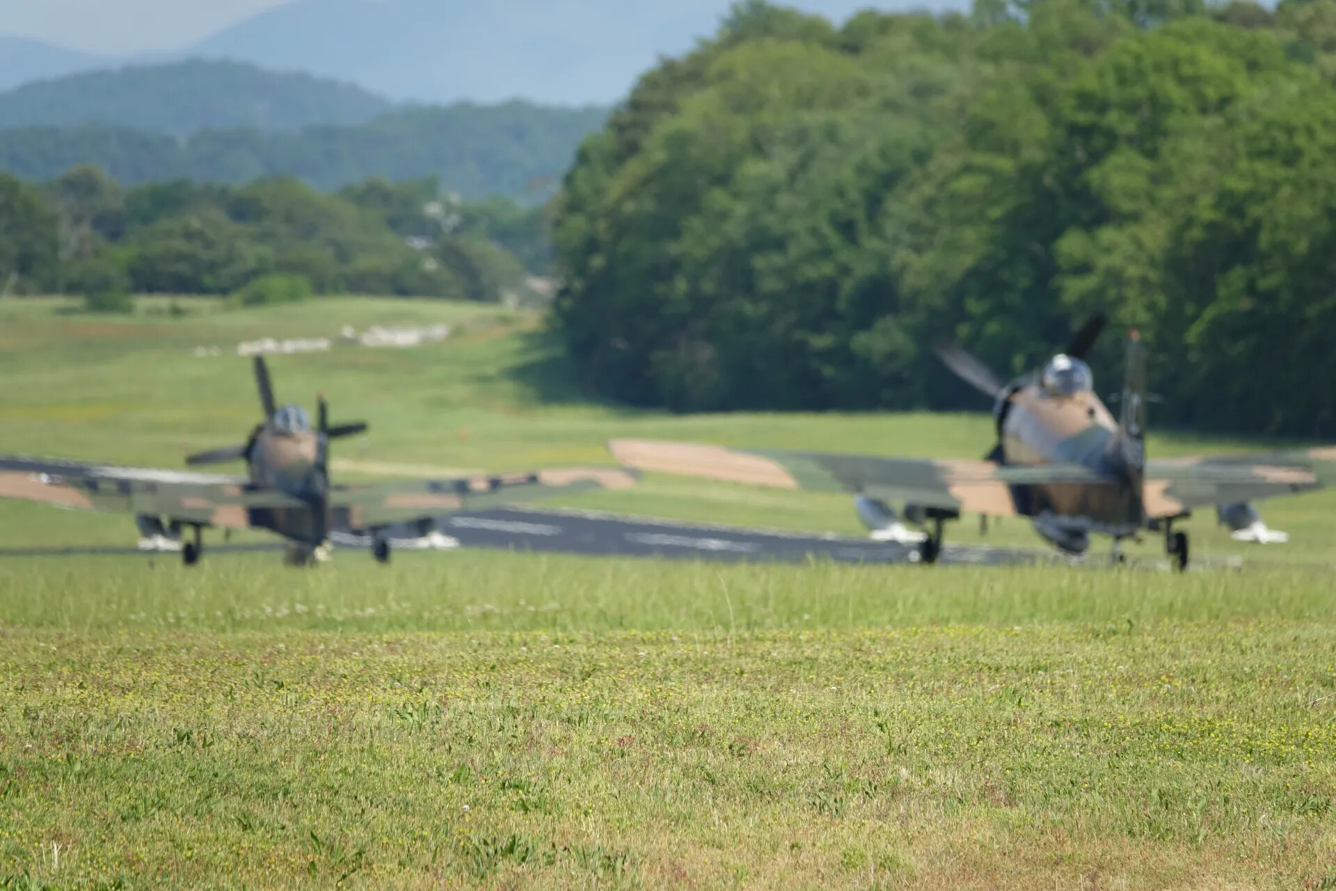 Camouflaged Douglas A-1 Skyraiders on Grass Airfield During May 2019 Warbird Event