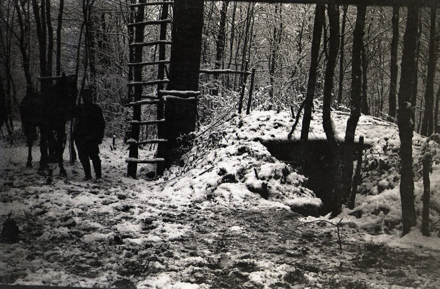 German Army Position in Snow-Covered Forest, World War I Western Front