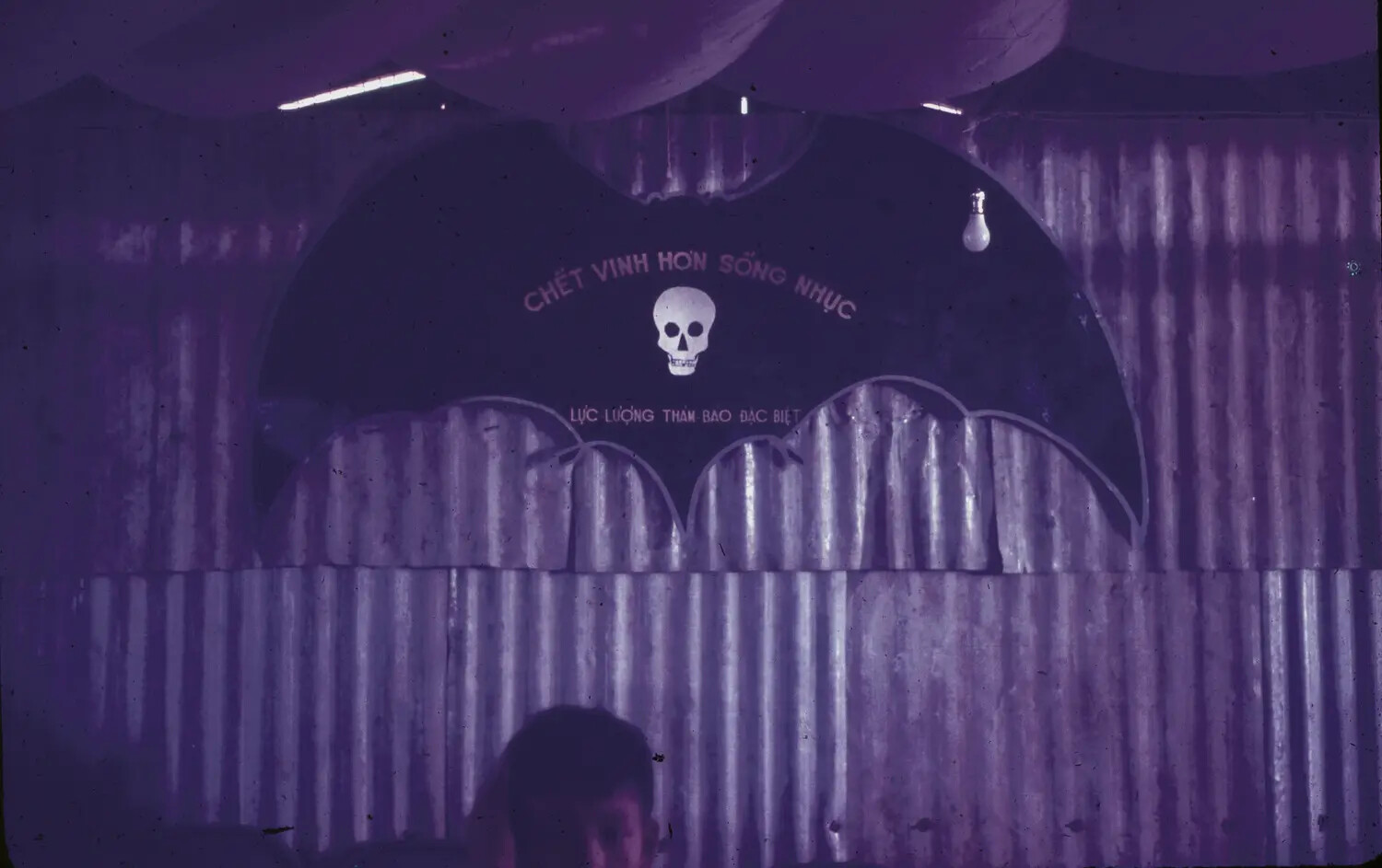 Unit Emblem of a South Vietnamese Special Reconnaissance Force, Interior of Corrugated-Metal Barracks Hut, Vietnam, c. 1965