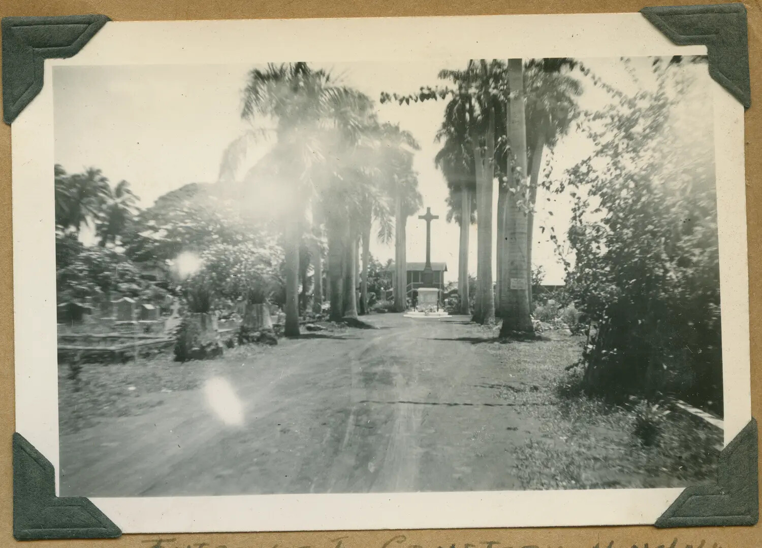 Palm-Lined Cemetery Avenue with Cross Monument, Honolulu, Hawaii, WWII Era
