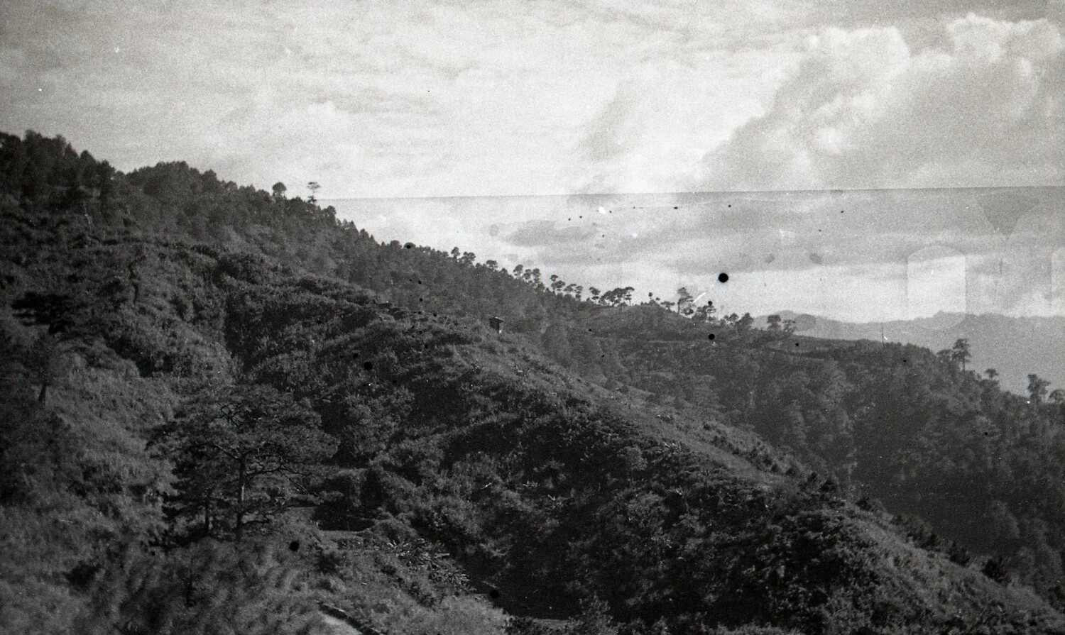 Pine-Forested Mountain Ridgeline, Cordillera Region, Luzon, Philippines, World War II Era