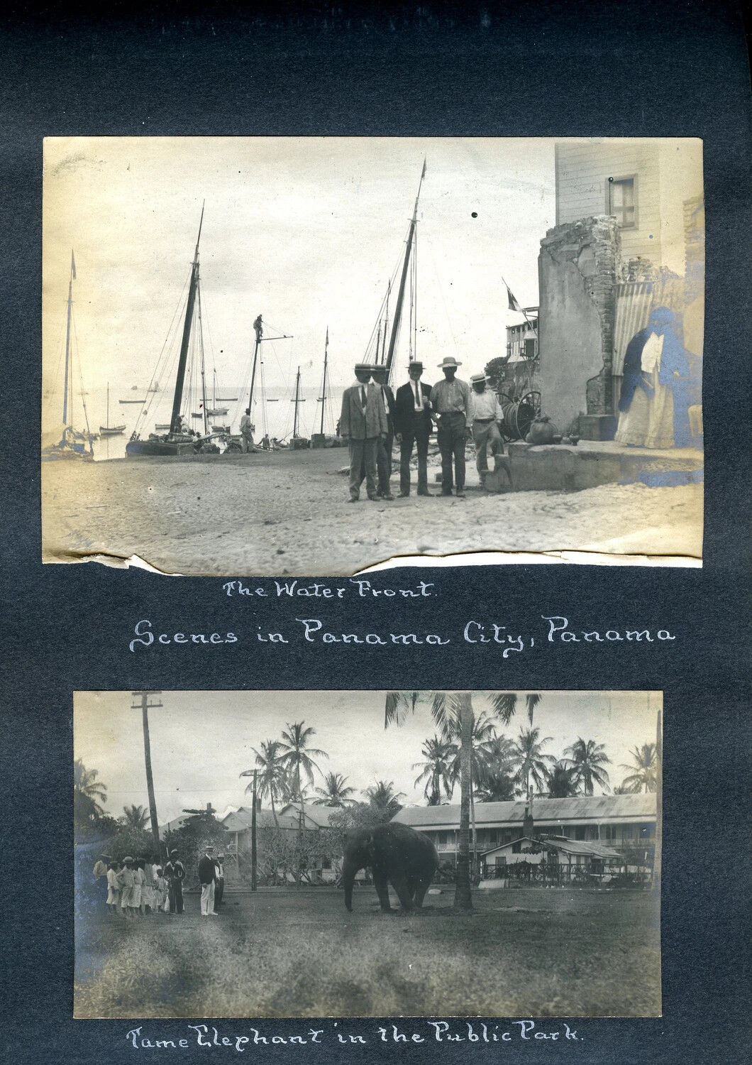 Album Page: 'The Water Front, Panama City' and 'Tame Elephant in the Public Park' - USS Columbia Album