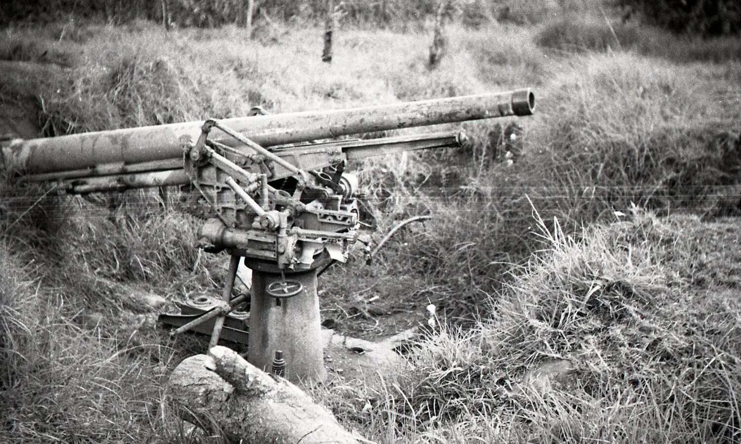 Abandoned Japanese Pedestal-Mounted Anti-Aircraft Gun in Overgrown Field, Luzon, Philippines, WWII
