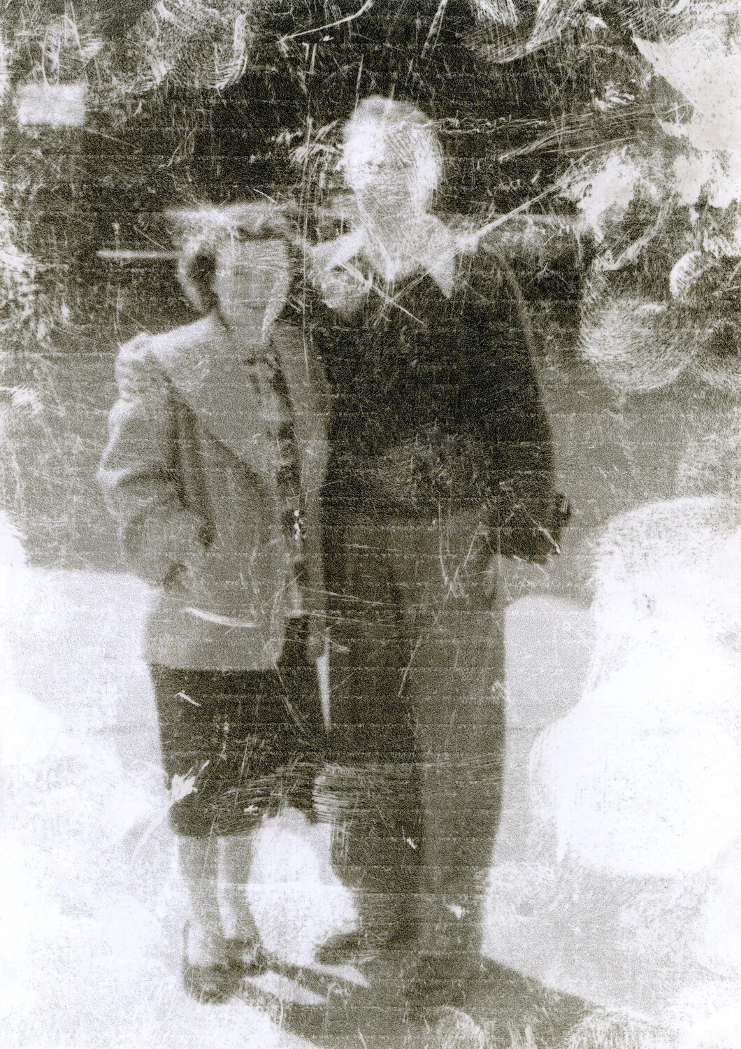 Degraded Family Photograph, Outdoor Portrait (Bancroft Collection)