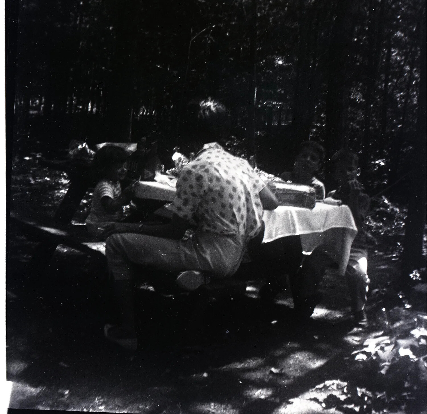 Family Preparing Food at a Forest Picnic Table, Mid-20th Century