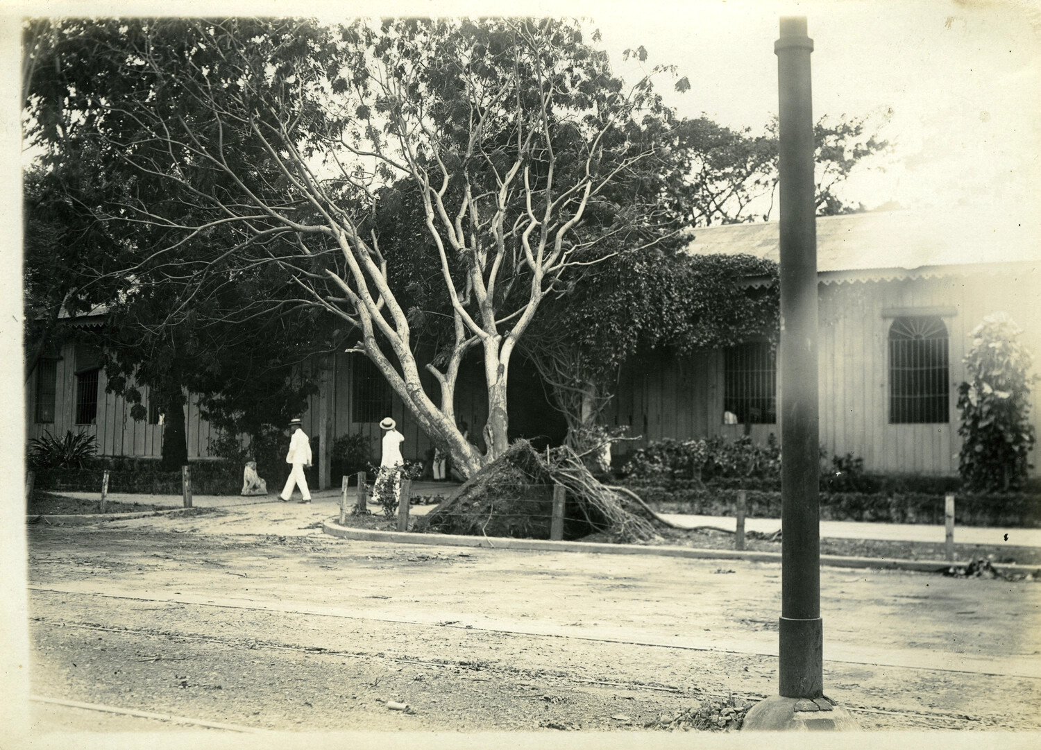 Storm Damage and Debris Following a Typhoon, American Garrison District, Philippines, Early 1900s