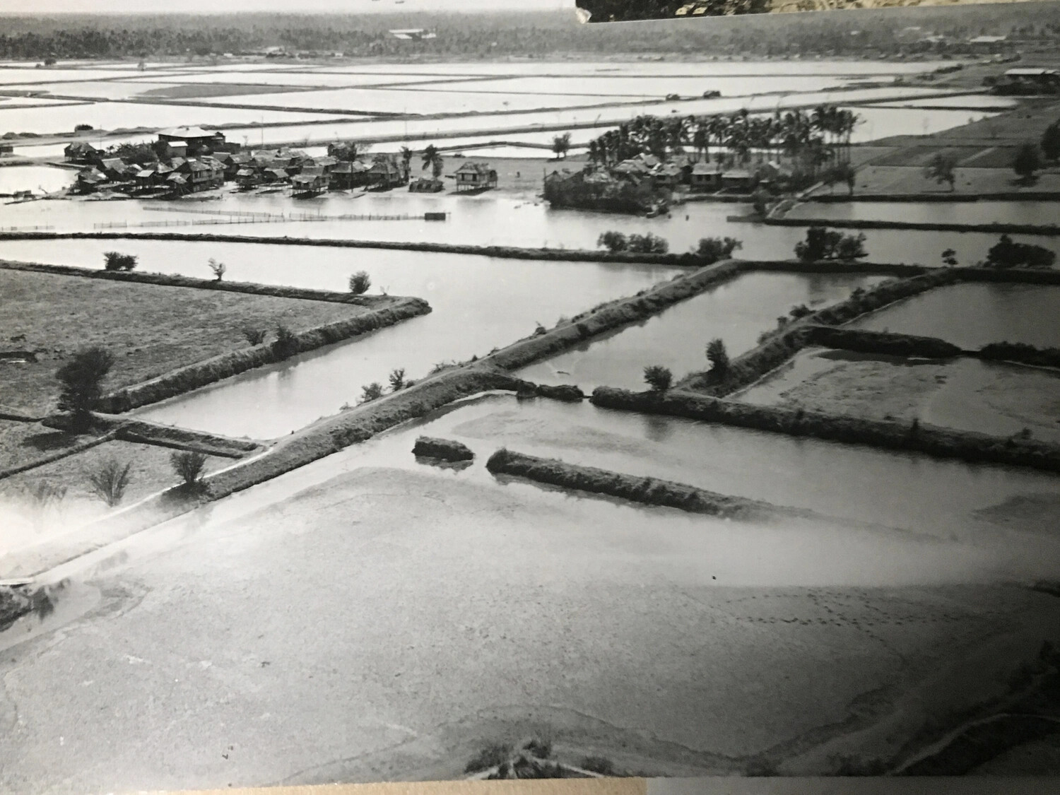 Aerial View of Flooded Rice Paddies and Village, Southwest Pacific Theater