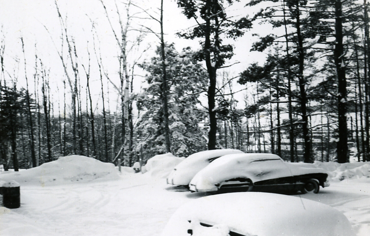 Snow-Covered Automobiles in Wooded Parking Area, Personal Photo Album, c. 1950s