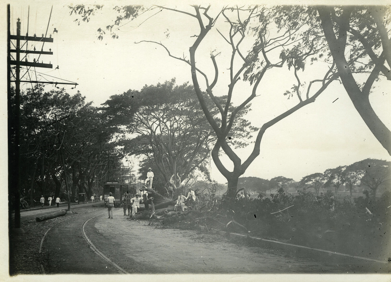 Typhoon-Damaged Roadway with Fallen Tree and Streetcar, Manila, Philippines, Early 1900s