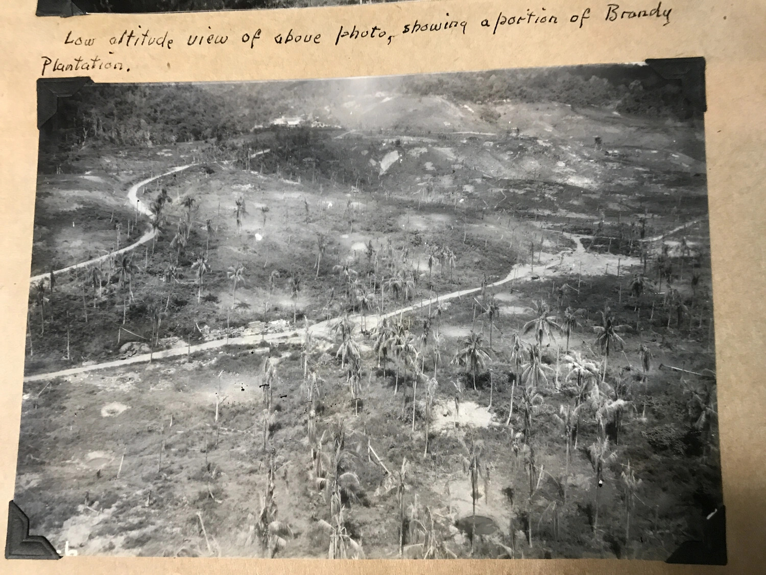 Album-Mounted Photograph: Low-Altitude View of Brandy Plantation