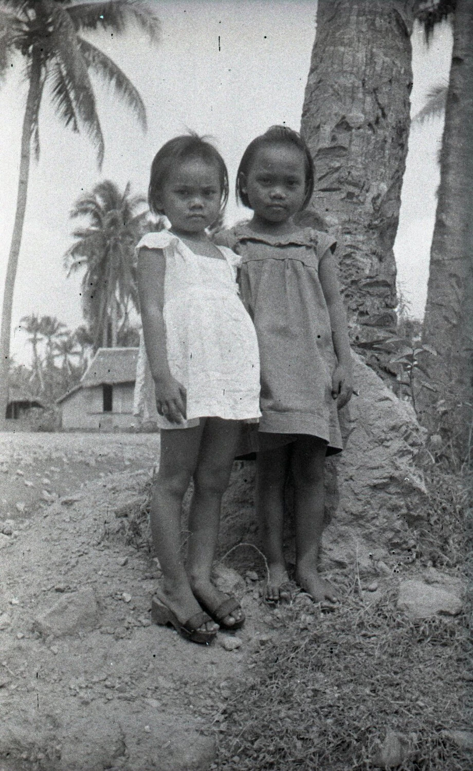 Two Filipino Village Girls Beside Coconut Palm, Luzon, Philippines, WWII Era