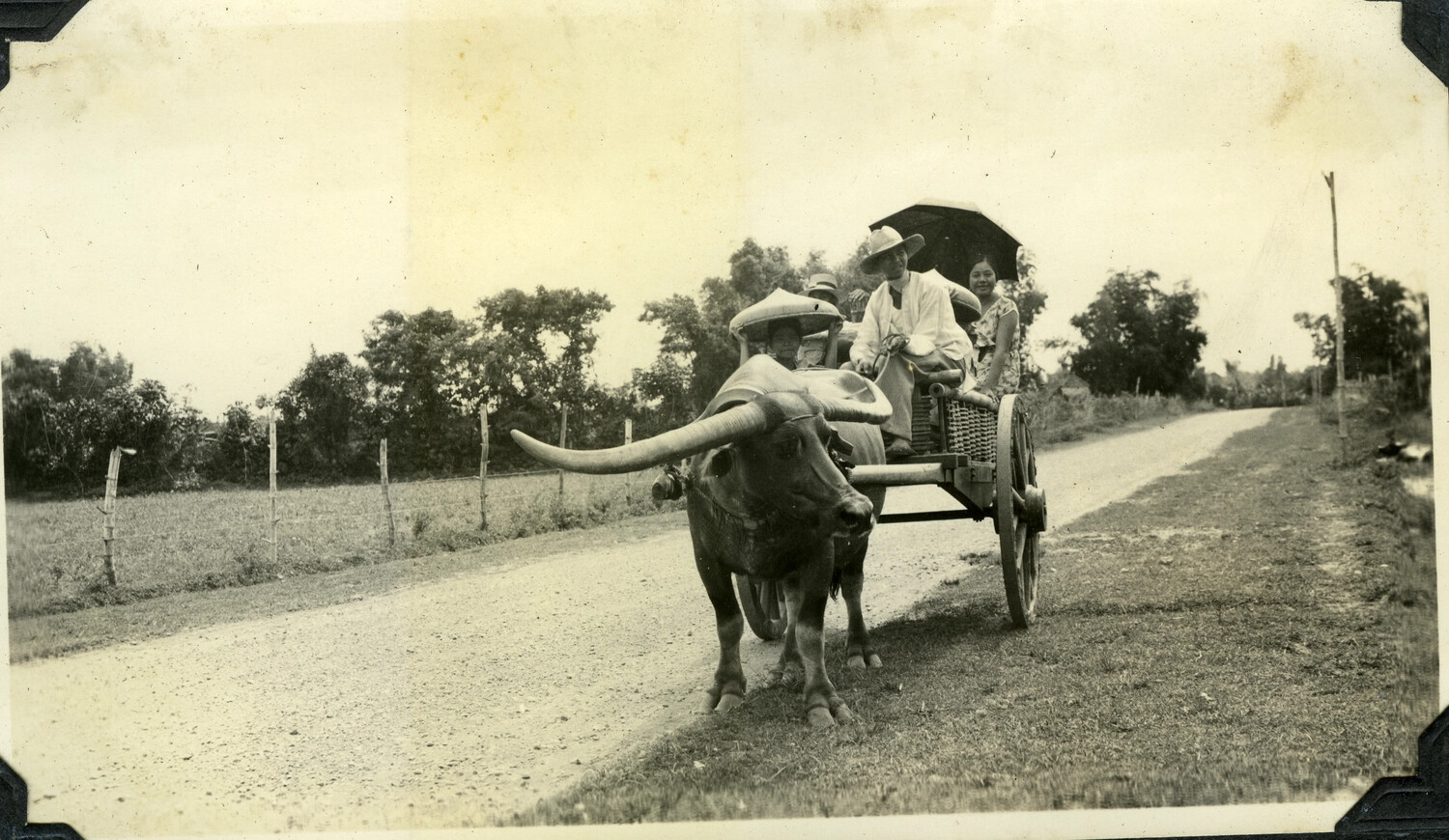 Carabao Cart with Passengers on Rural Road, Philippines, c. 1920s-1930s