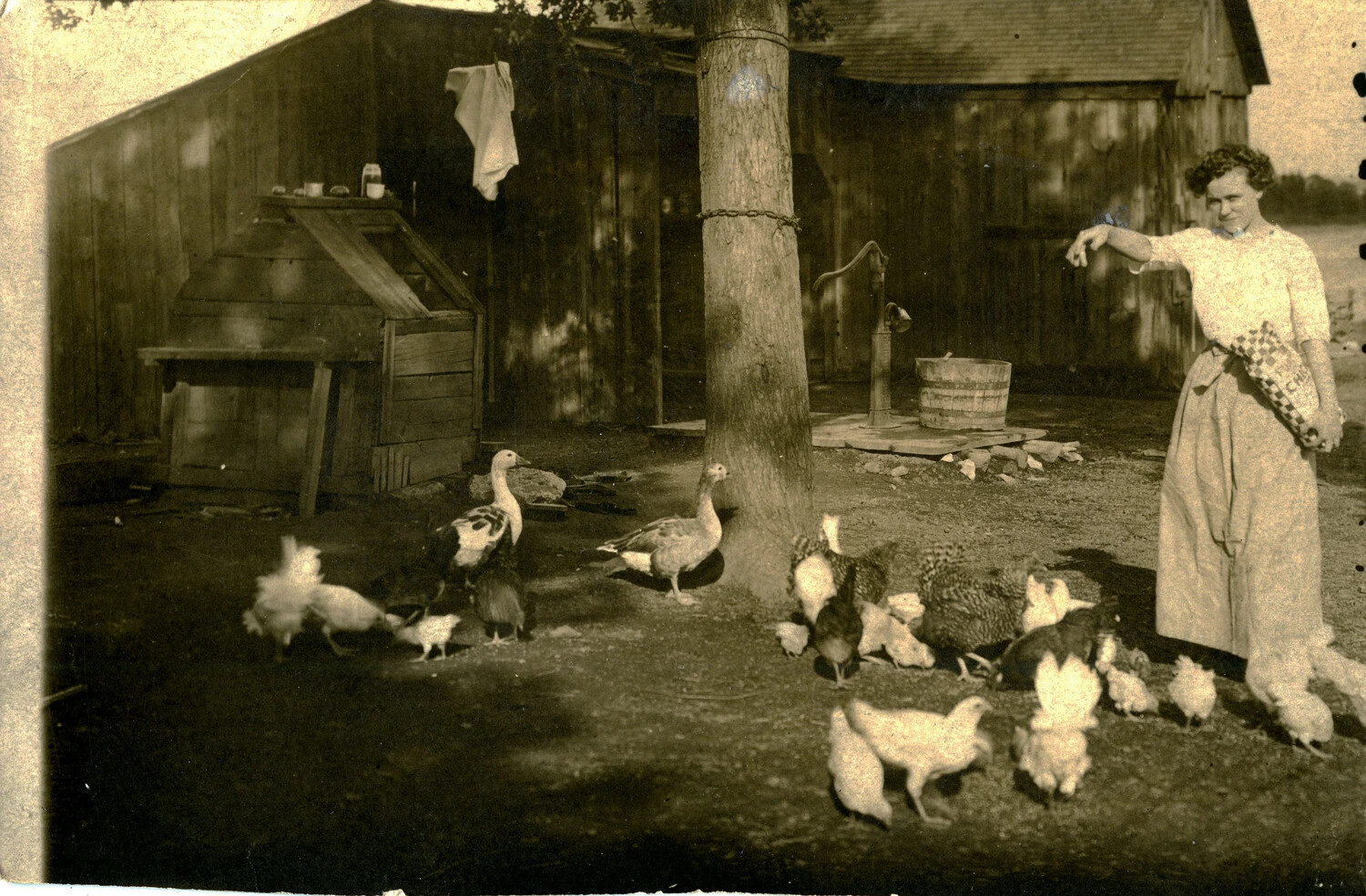 Woman Feeding Poultry in a Farmyard, Vintage Family Photograph (Misfiled Among WWII Iwo Jima Materials)