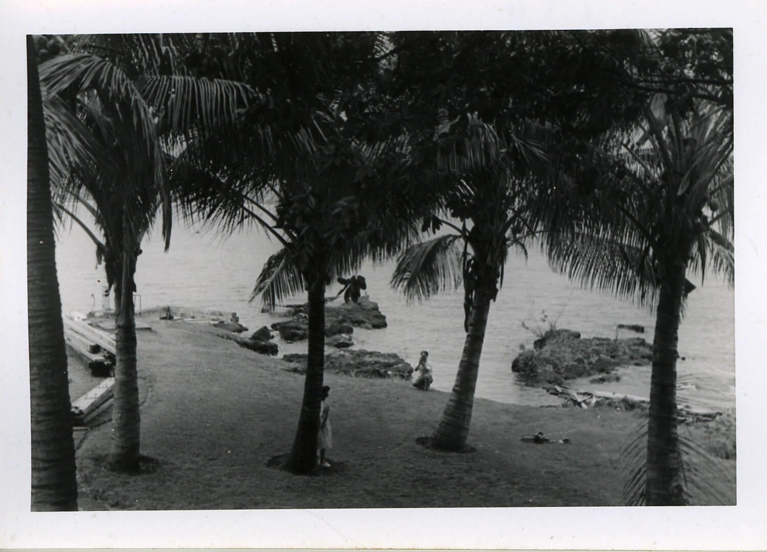 Palm-Fringed Shoreline with Figures by the Water, Hawaii