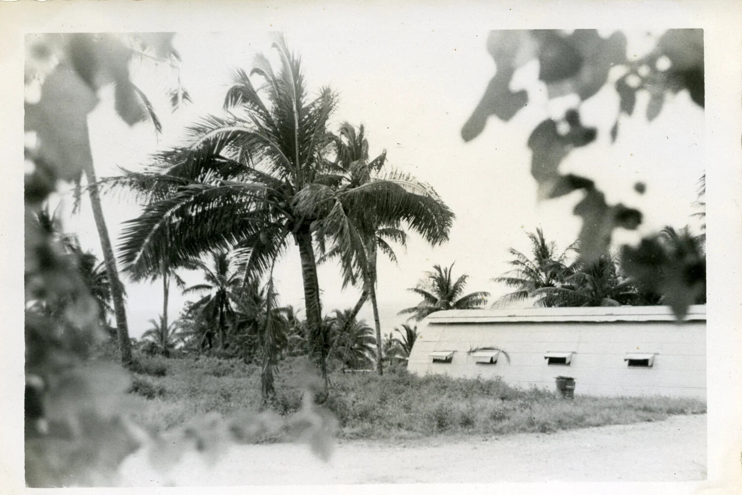 Barracks Building Amid Palm Trees, Naval Air Station Agana, Guam - VR-6 Squadron Album