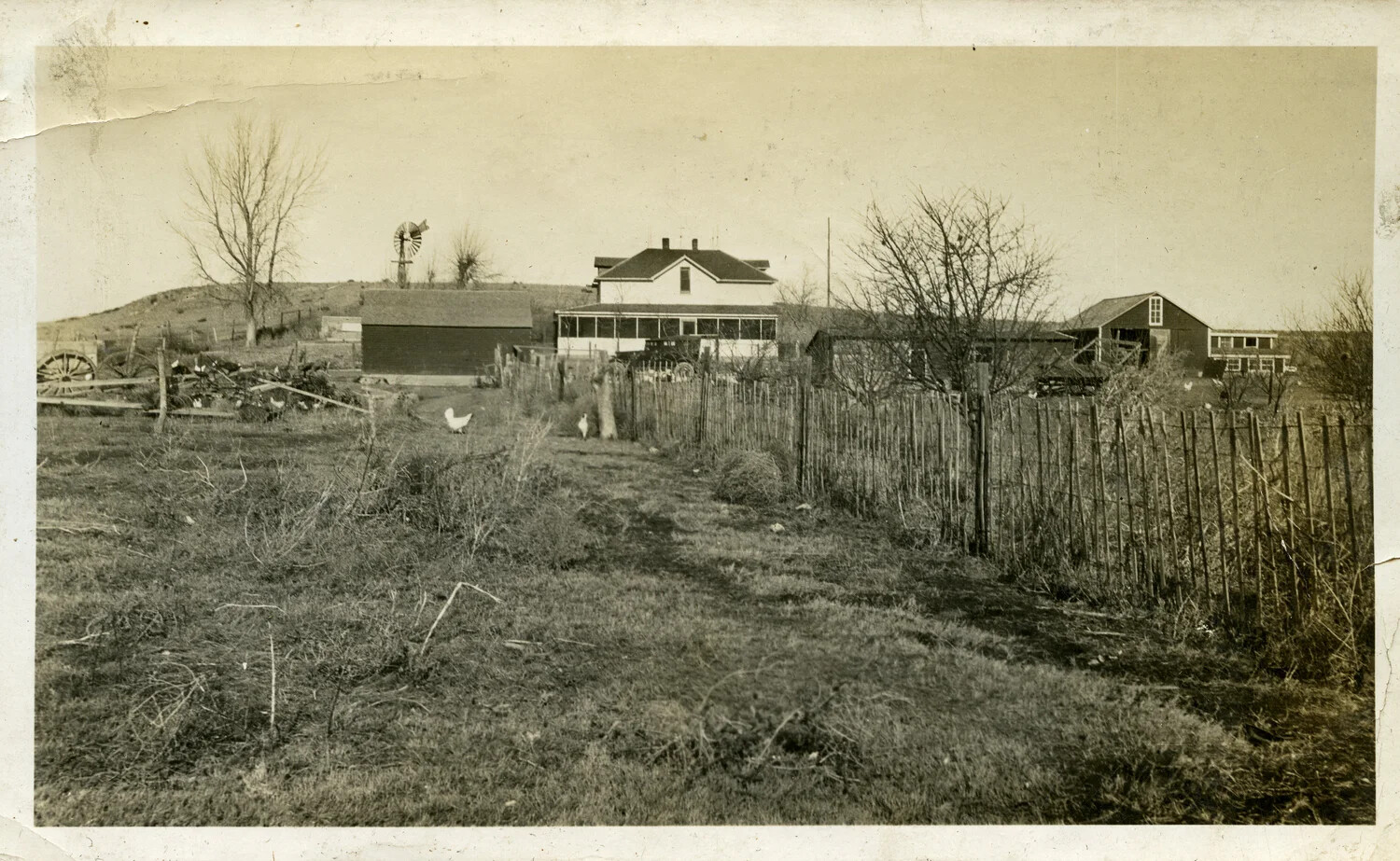 Farmstead with Windmill, Farmhouse, and Poultry Yard