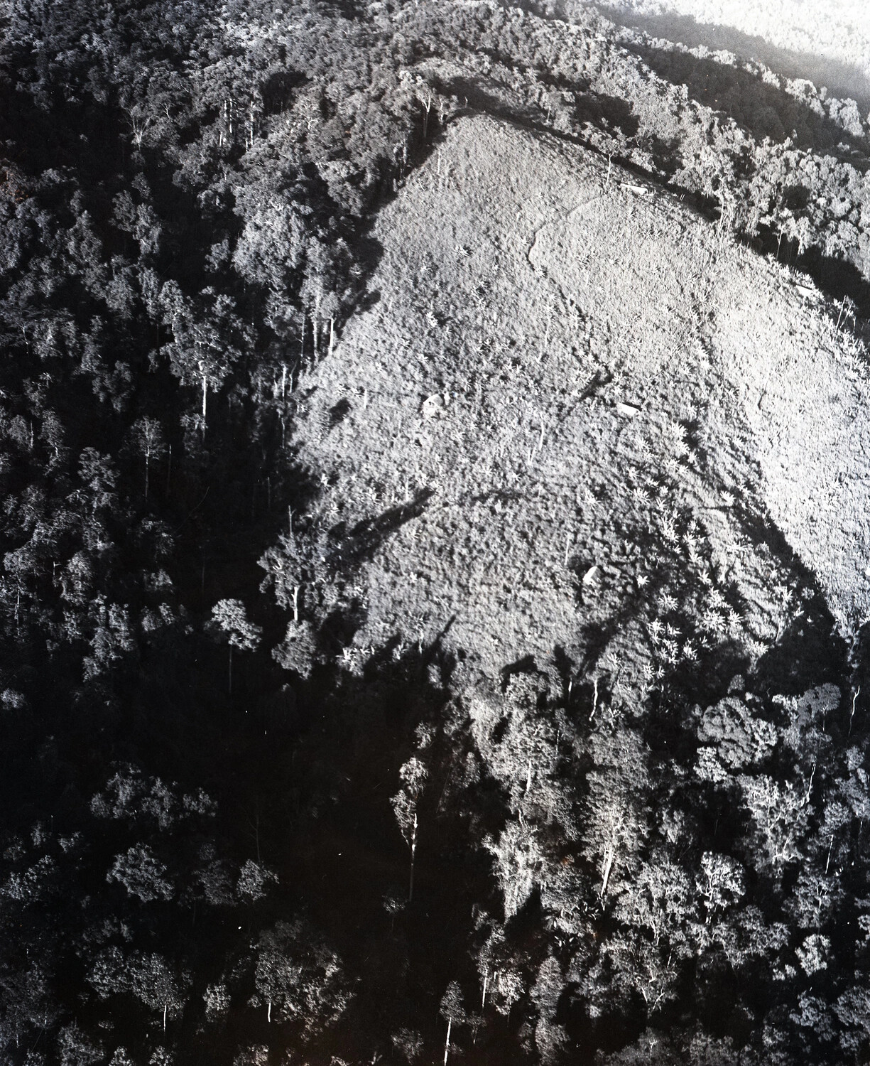 Aerial Reconnaissance Photograph of Jungle Clearing, China-Burma-India Theater, World War II