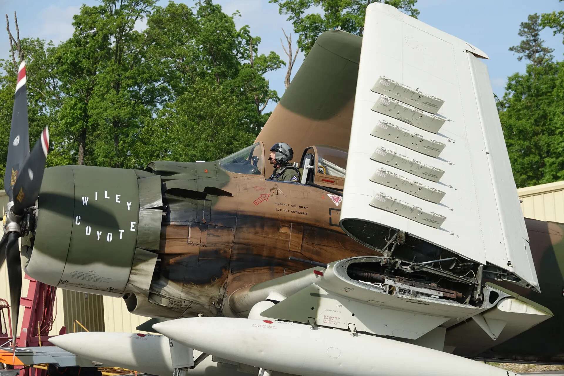 Restored A-1 Skyraider 'Wiley Coyote' with Folded Wing and Pilot in Cockpit, May 2019 Airshow Event