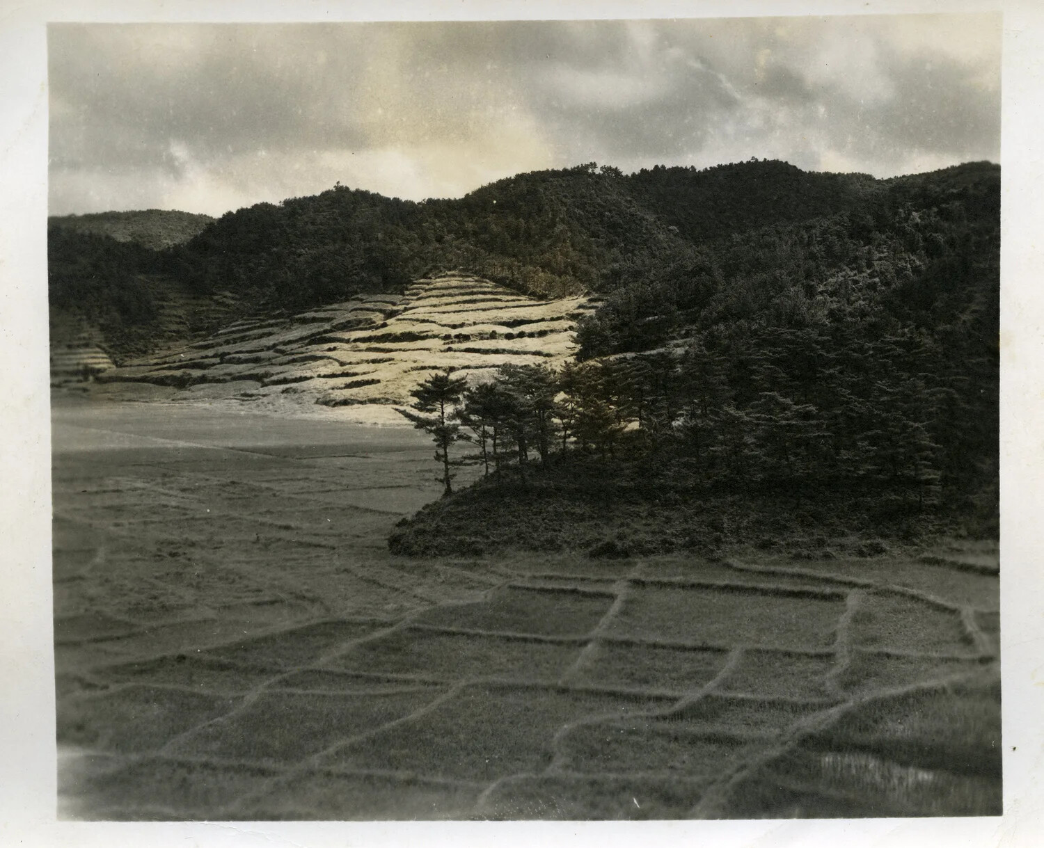 Terraced Rice Paddies and Hillside, Okinawa (WWII era)