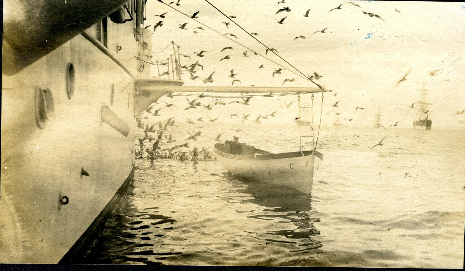 'The Harbor, How Sea Gulls Live' — View Along Ship's Boat Boom with Feeding Gulls, USS Columbia Album, c. 1898-1910s
