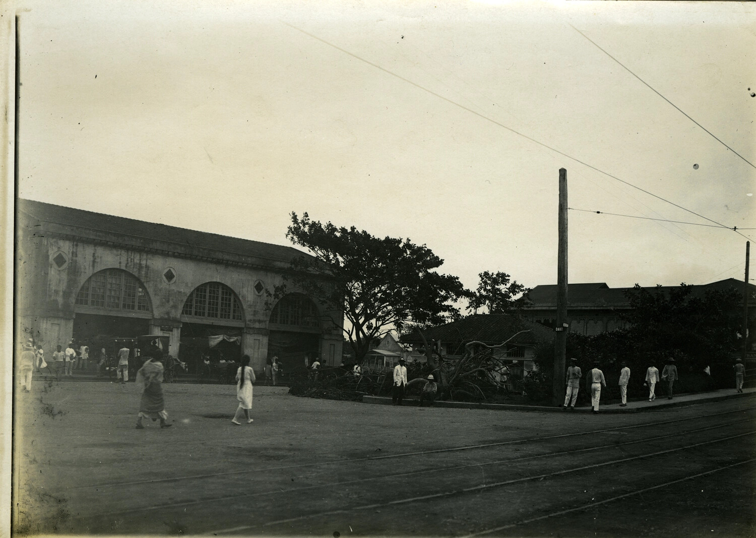 Storm-Damaged Street Scene with Uprooted Tree, Philippines, Early 1900s (Carl Stone Collection)