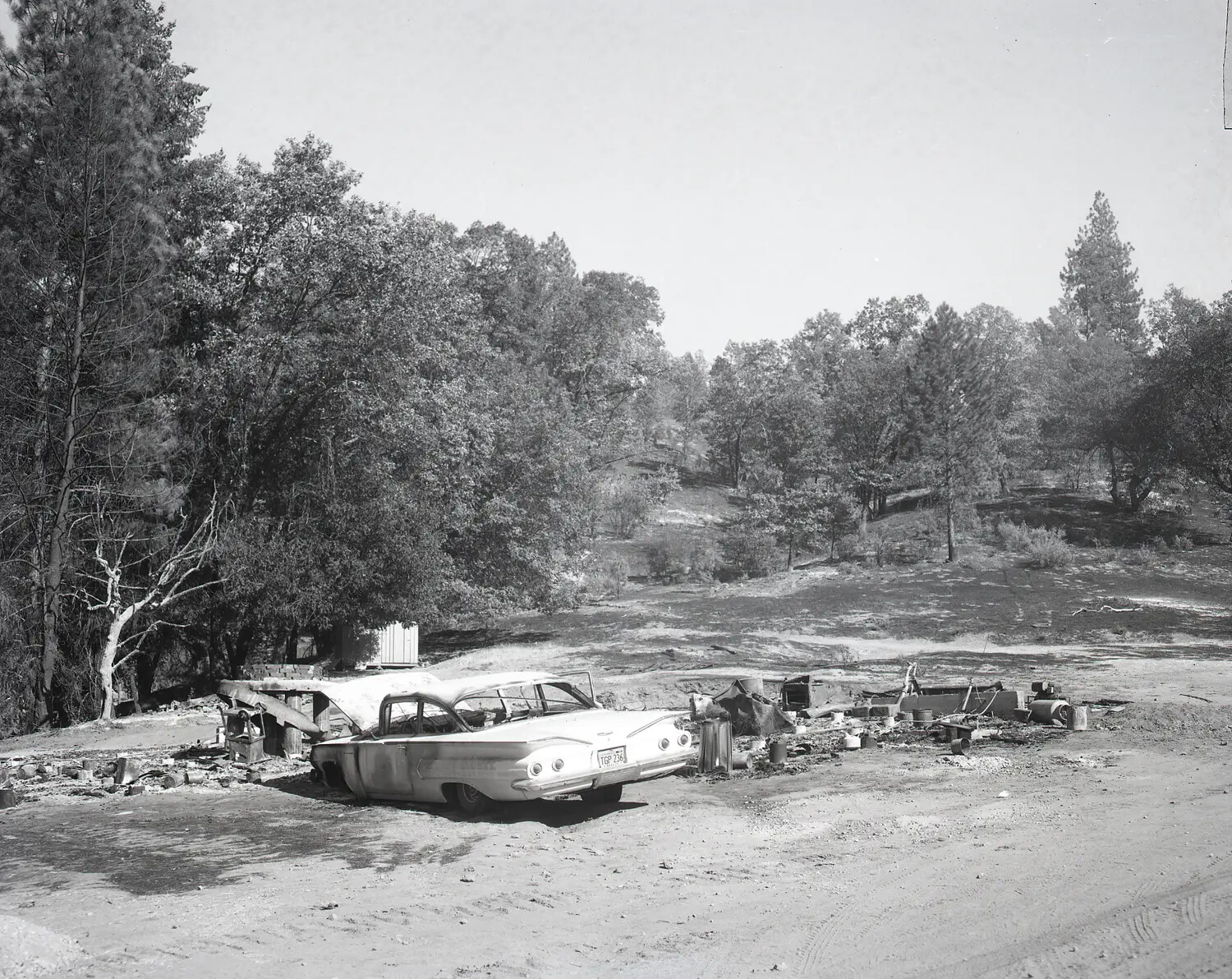 Fire-Damaged Automobile Wreck in Wooded Rural Landscape