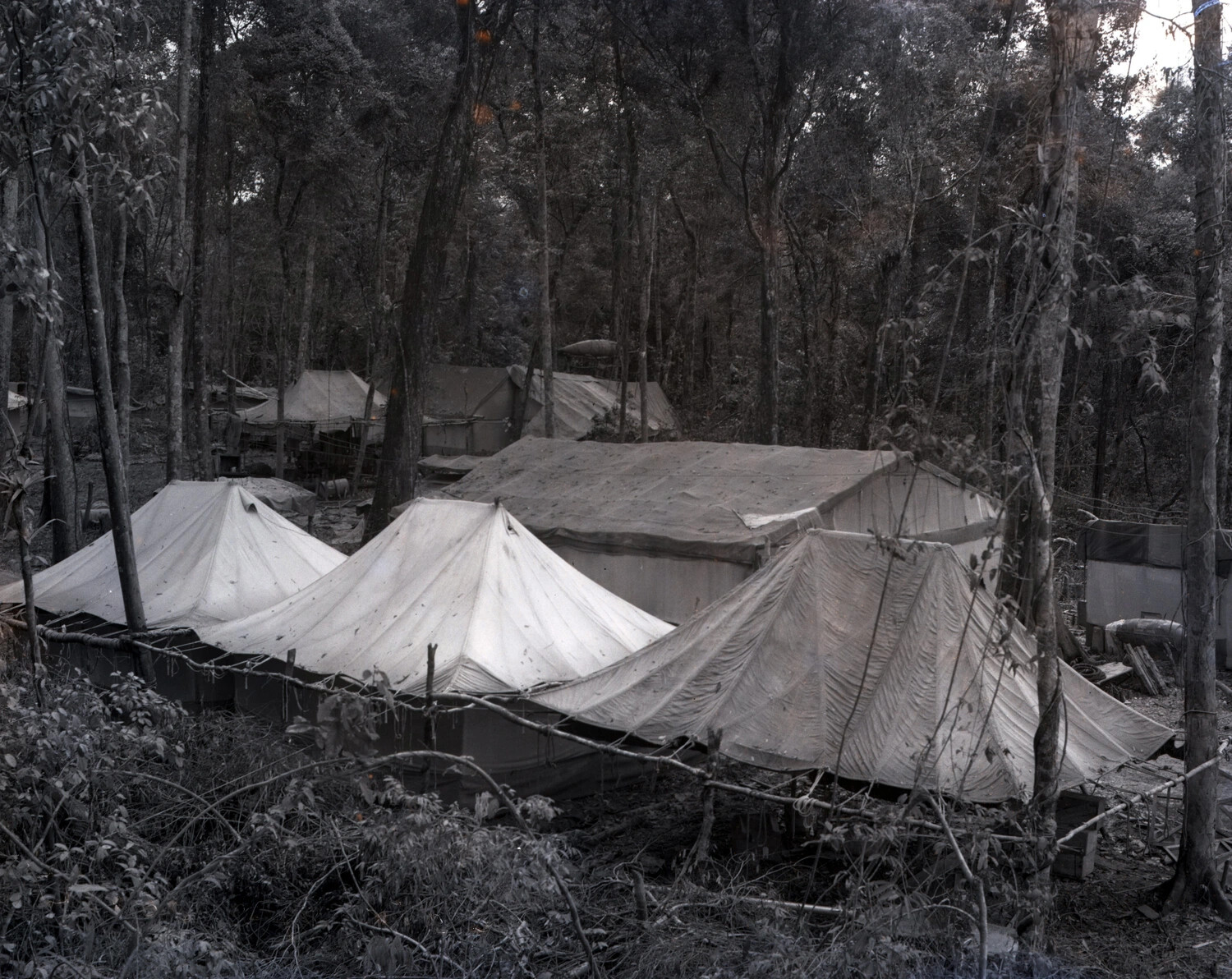 Jungle Bivouac Camp with Pyramidal Tents, CBI Theater, World War II