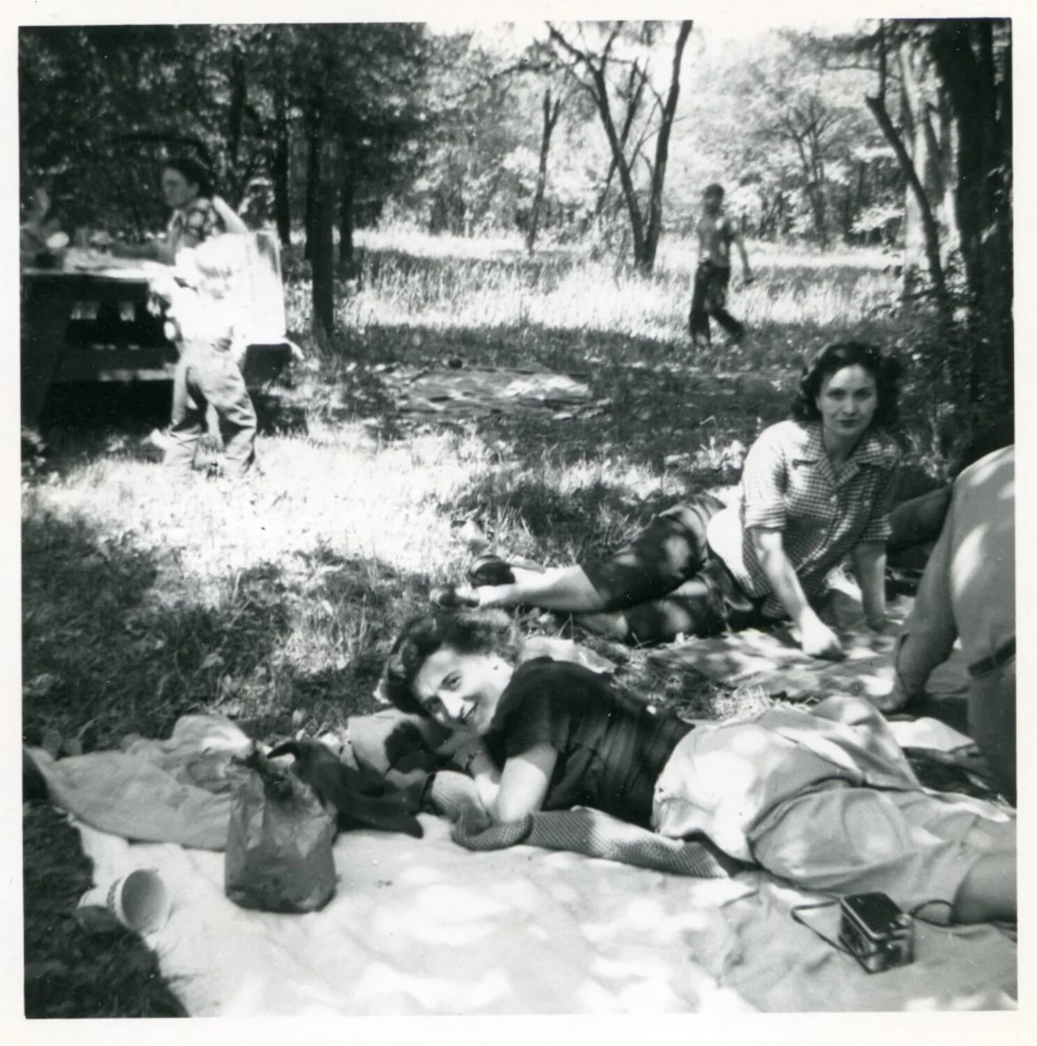 Family Picnic in Wooded Park, Bancroft Collection, Korean War Era