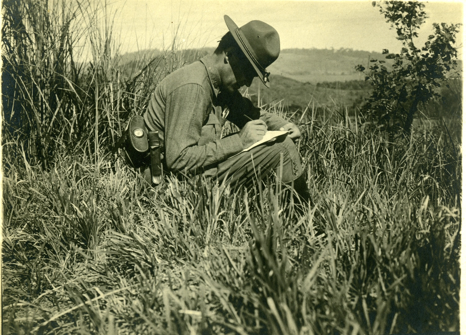 U.S. Soldier Writing in Field Notebook, Tall Grass Landscape — Philippines, Early 1900s