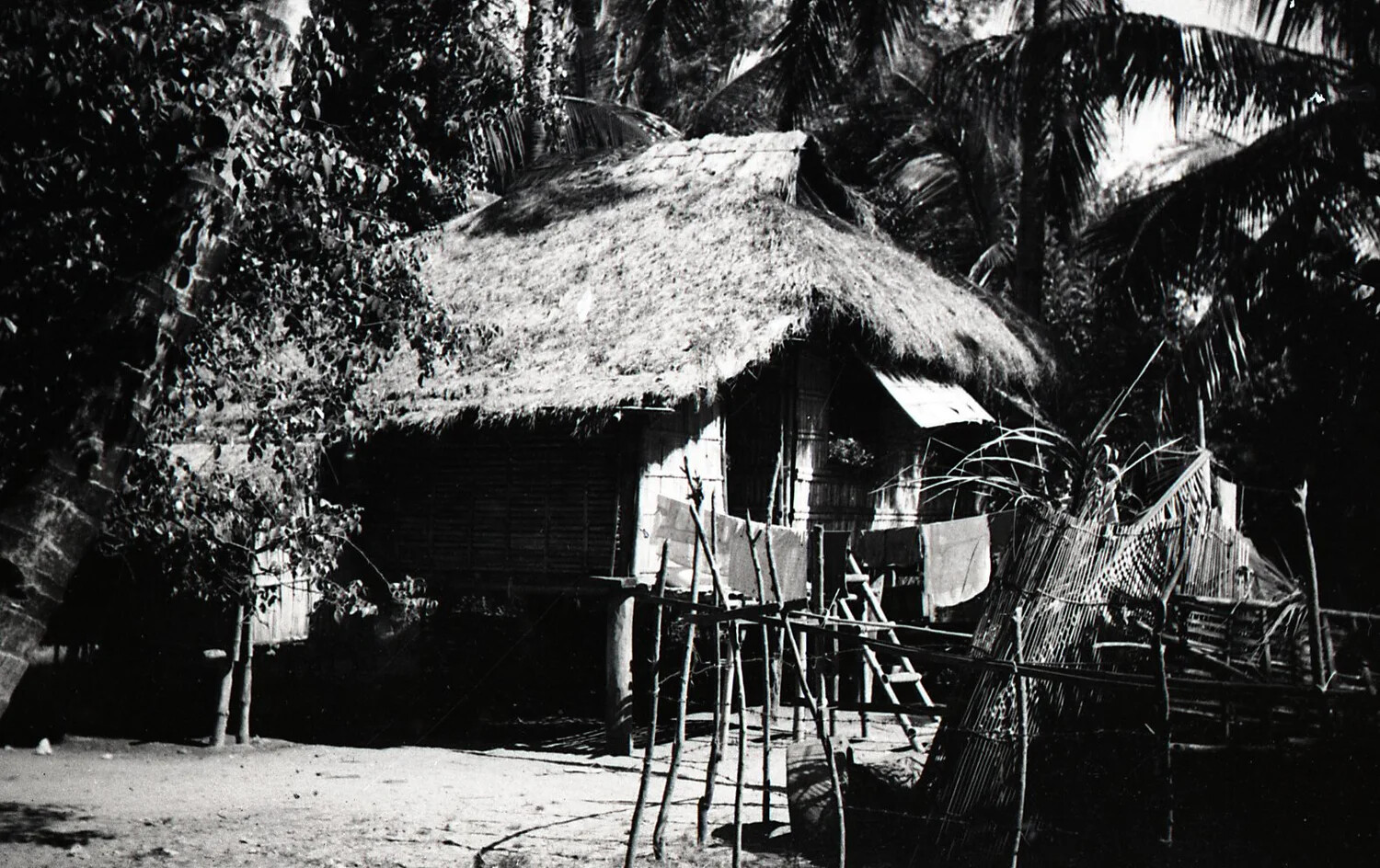 Nipa Hut (Bahay Kubo) Amid Coconut Palms, Luzon, Philippines, WWII Era