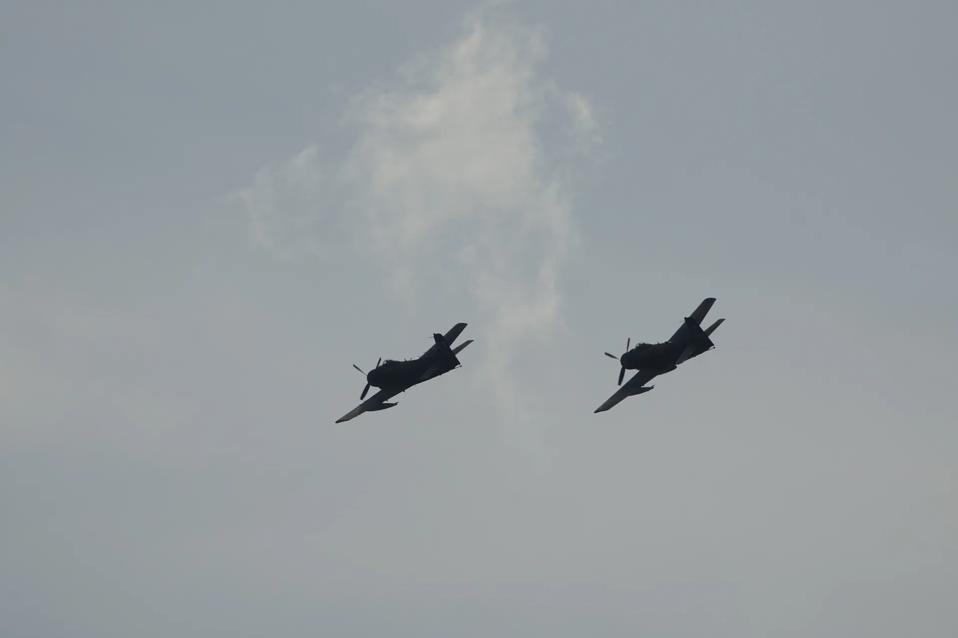 Twin A-1 Skyraider Formation Flyby, Reunion Airshow, May 2019