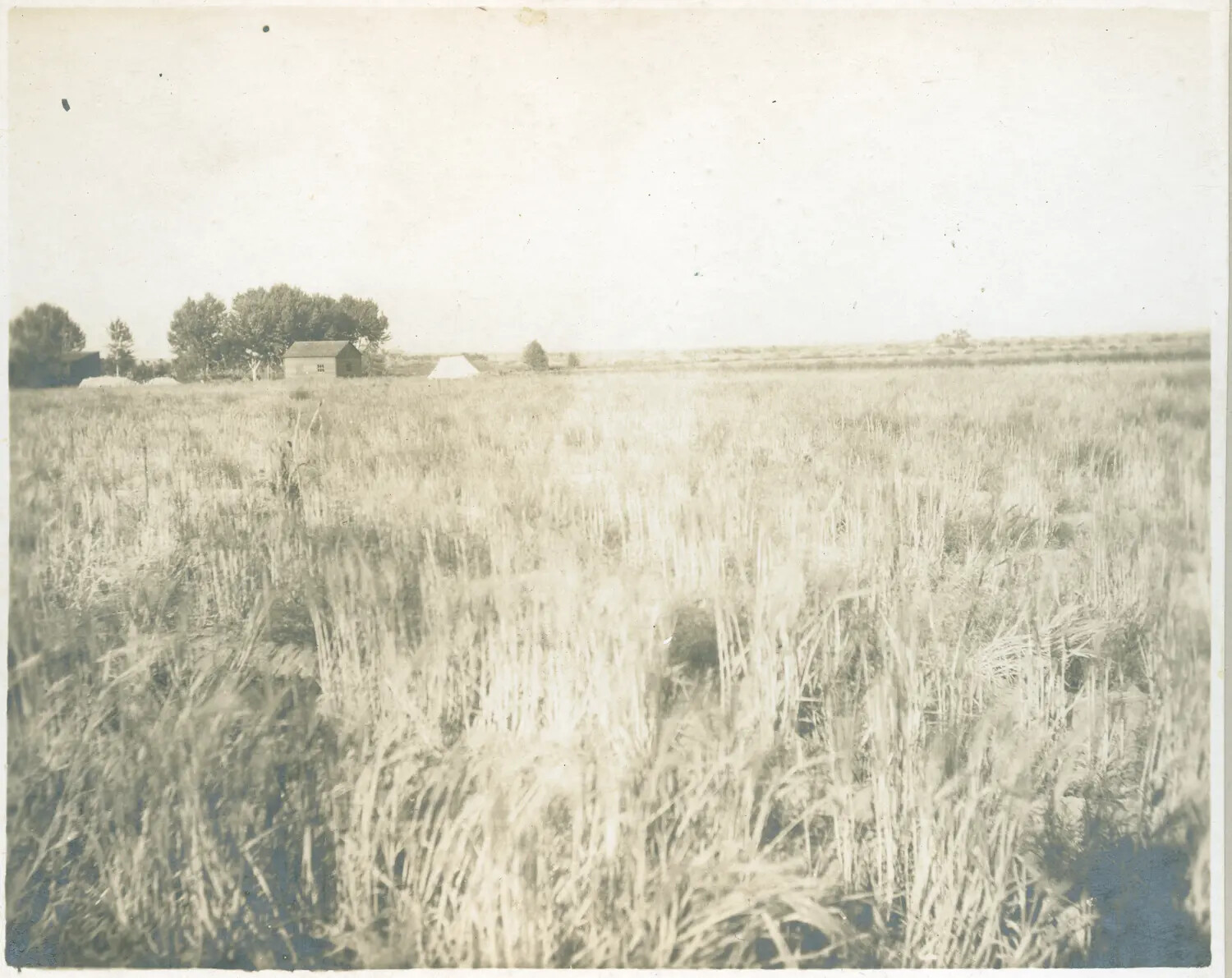Rural Landscape with Farmhouse and Tent, Possible Stateside Military Encampment, circa 1890s