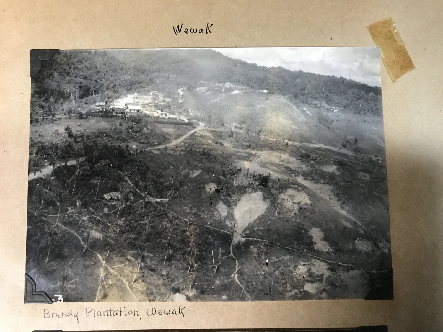 Album-Mounted Photograph: Brandy Plantation, Wewak, New Guinea