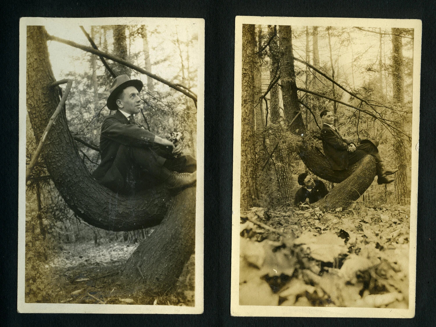 Two Amateur Snapshots of Men Posed on a Bent Tree Trunk, 1920s Personal Photo Album (WWI-Era New York Police Veterans Collection)