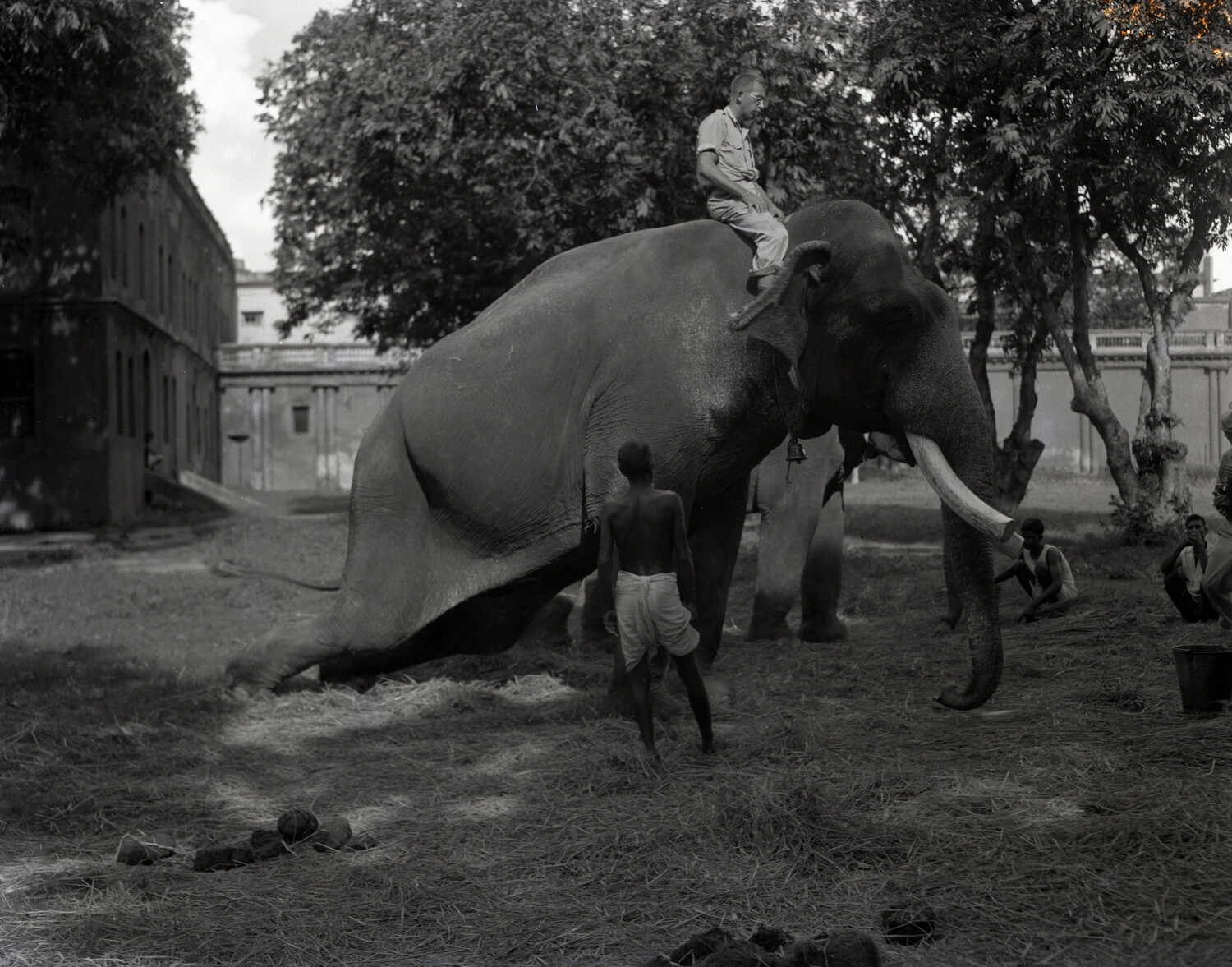 American Serviceman Riding a Kneeling Elephant, China-Burma-India Theater, WWII
