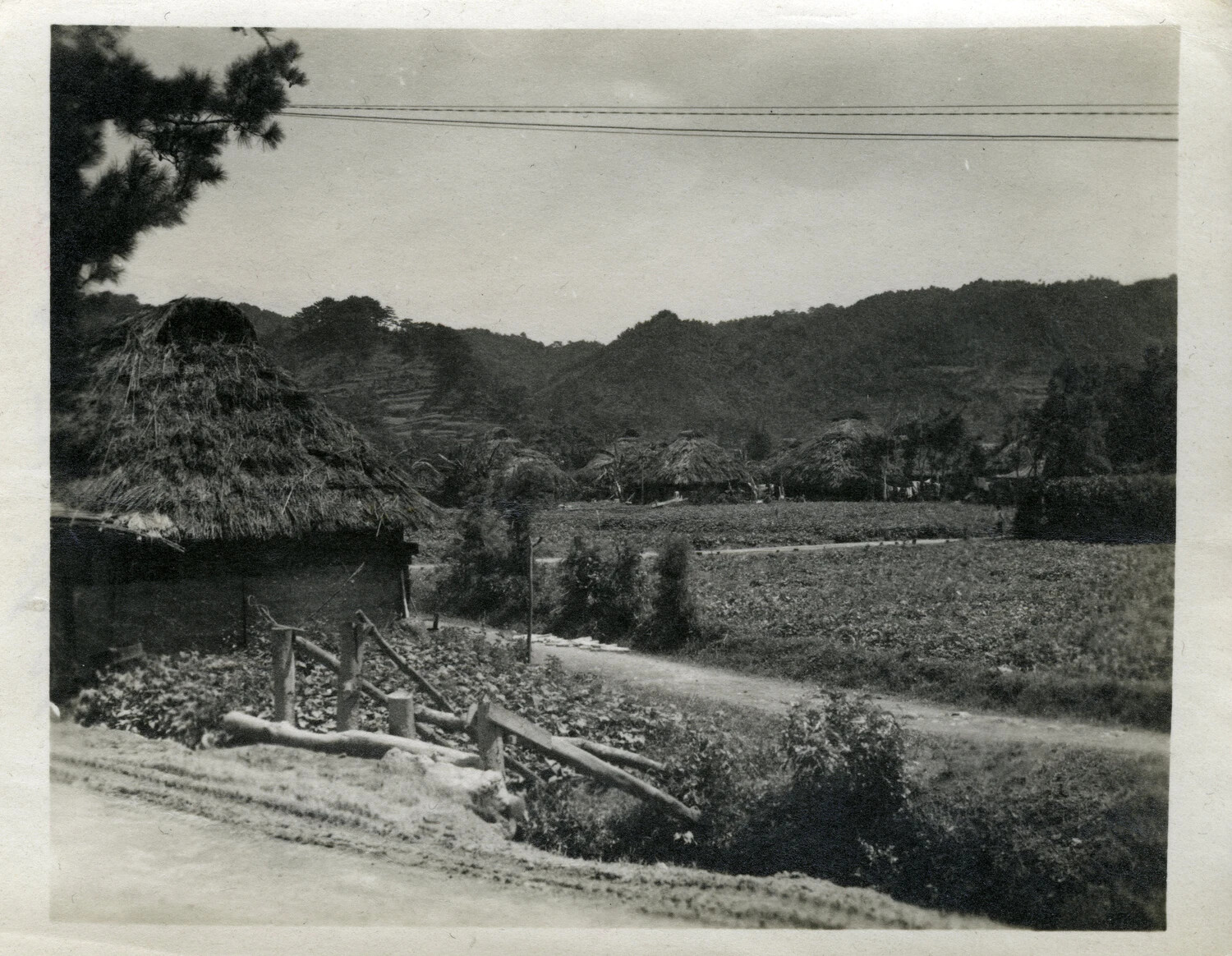 Rural Okinawan Village with Thatched-Roof Farmhouses and Terraced Hillsides, WWII Era