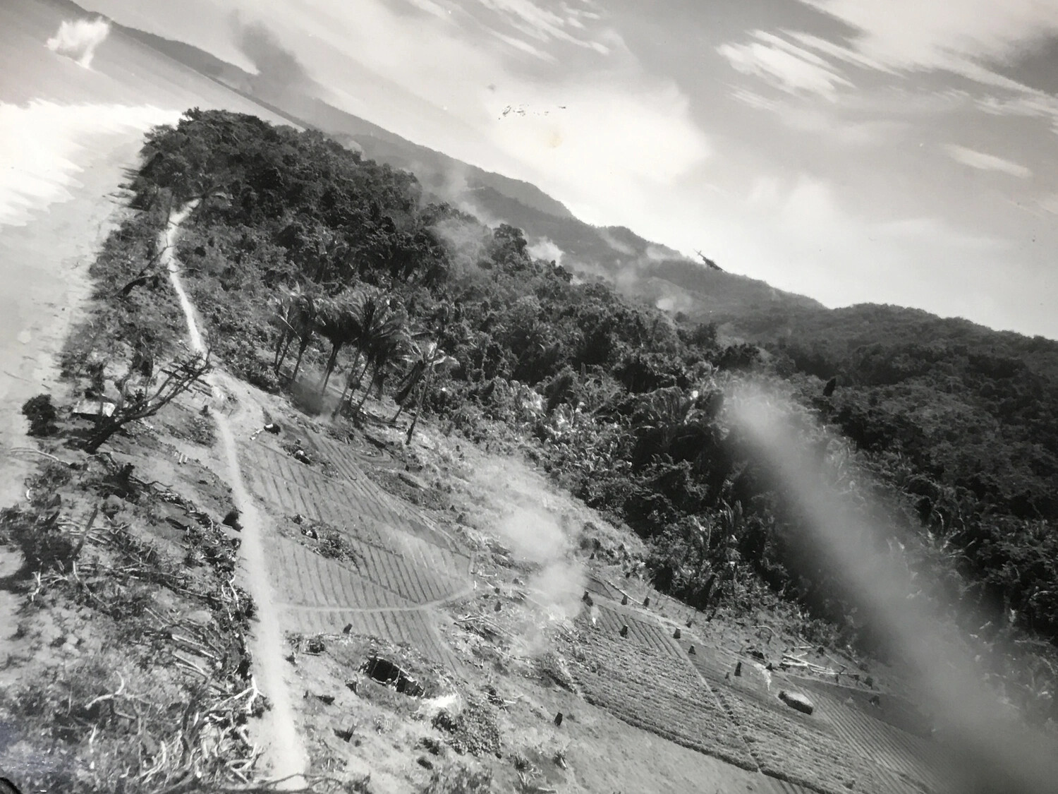 Low-Level Strafing/Bombing Attack on Japanese Garden Plots and Jungle Encampment, New Guinea