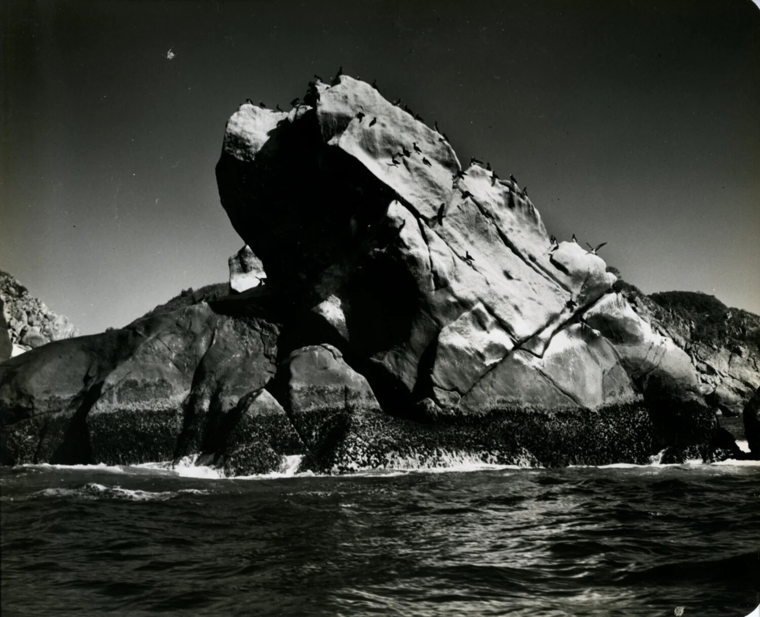 Sea Rock with Roosting Seabirds, Acapulco Coast, 1949